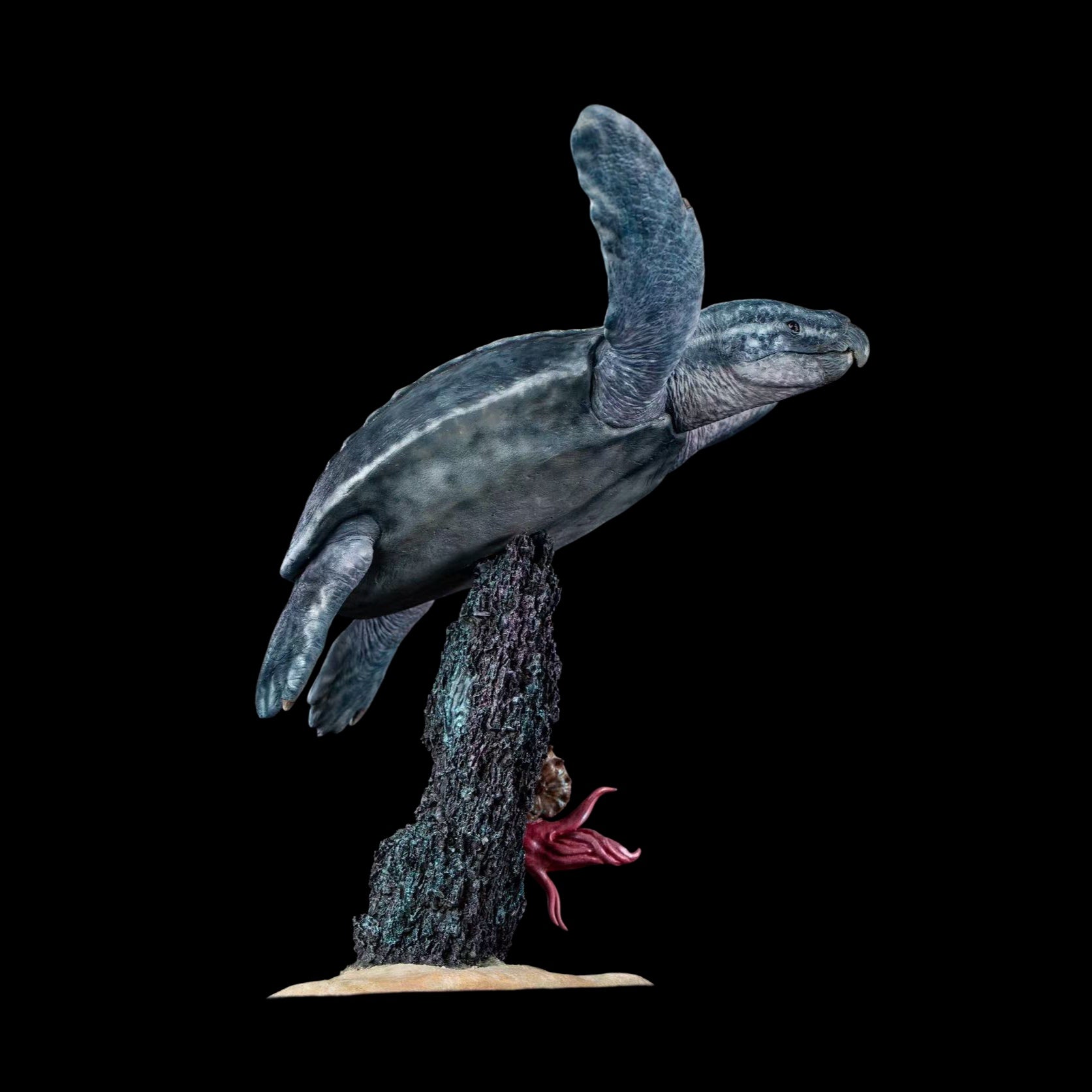 Archelon statue Model Kit 1:20 Scale Cen Studio