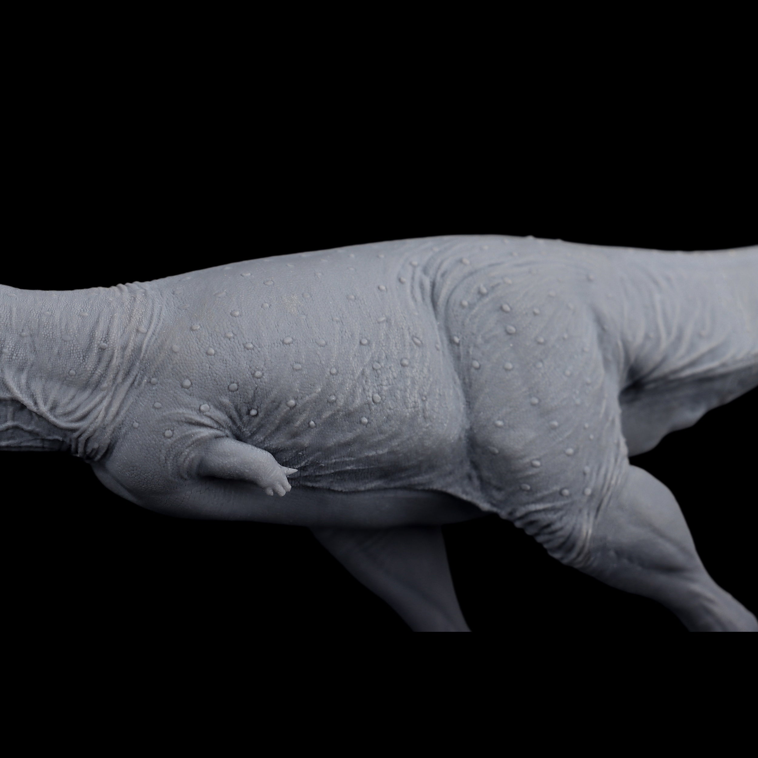 Abelisaurus comahuensis Model Kit 1:35 Scale AN studio