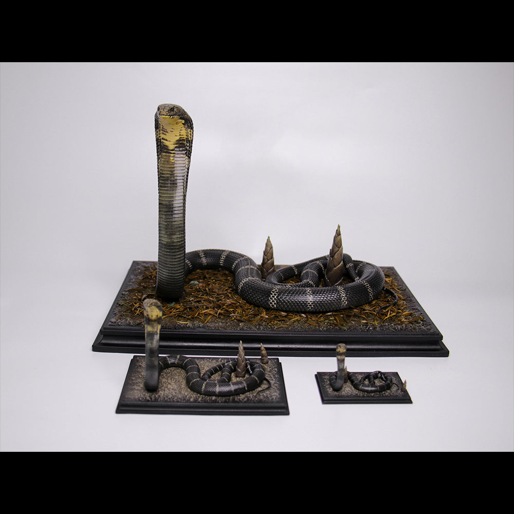 Ophiophagus hannah 1/4 1/10 1/18 APHID STUDIO