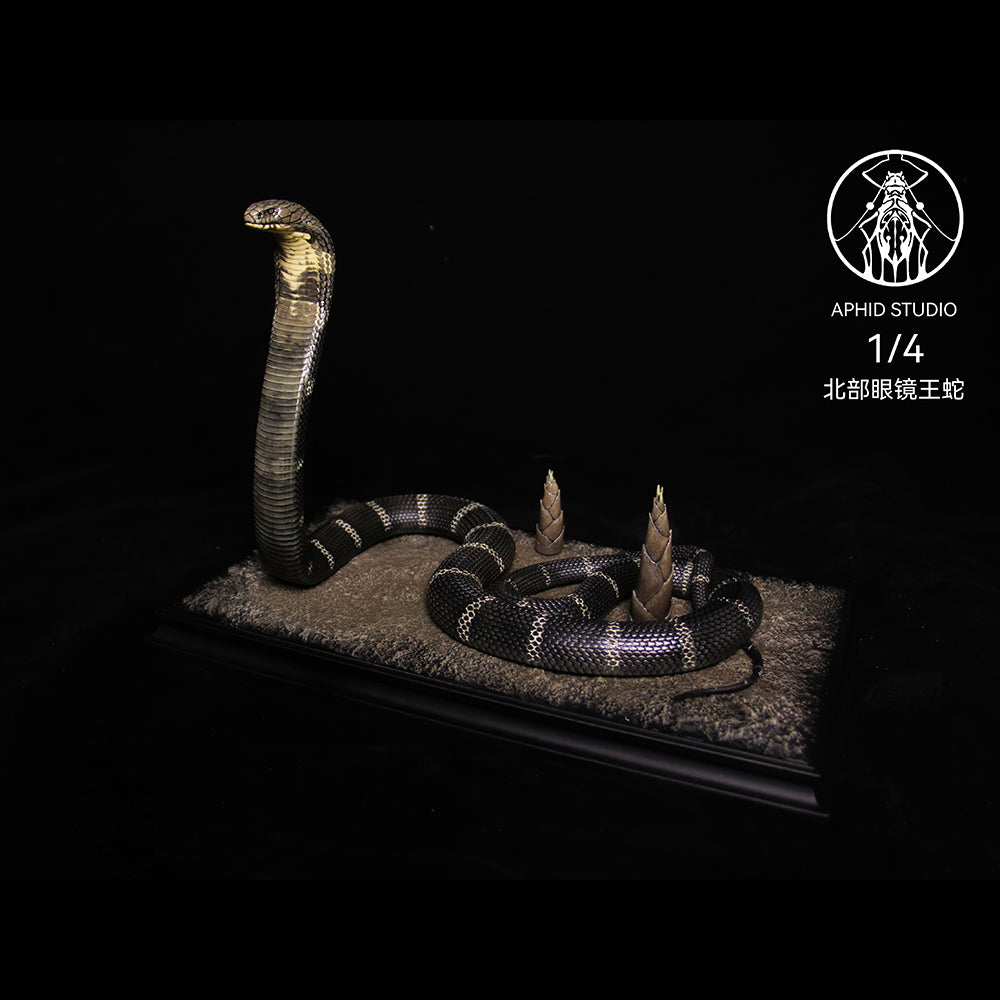 Ophiophagus hannah 1/4 1/10 1/18 APHID STUDIO