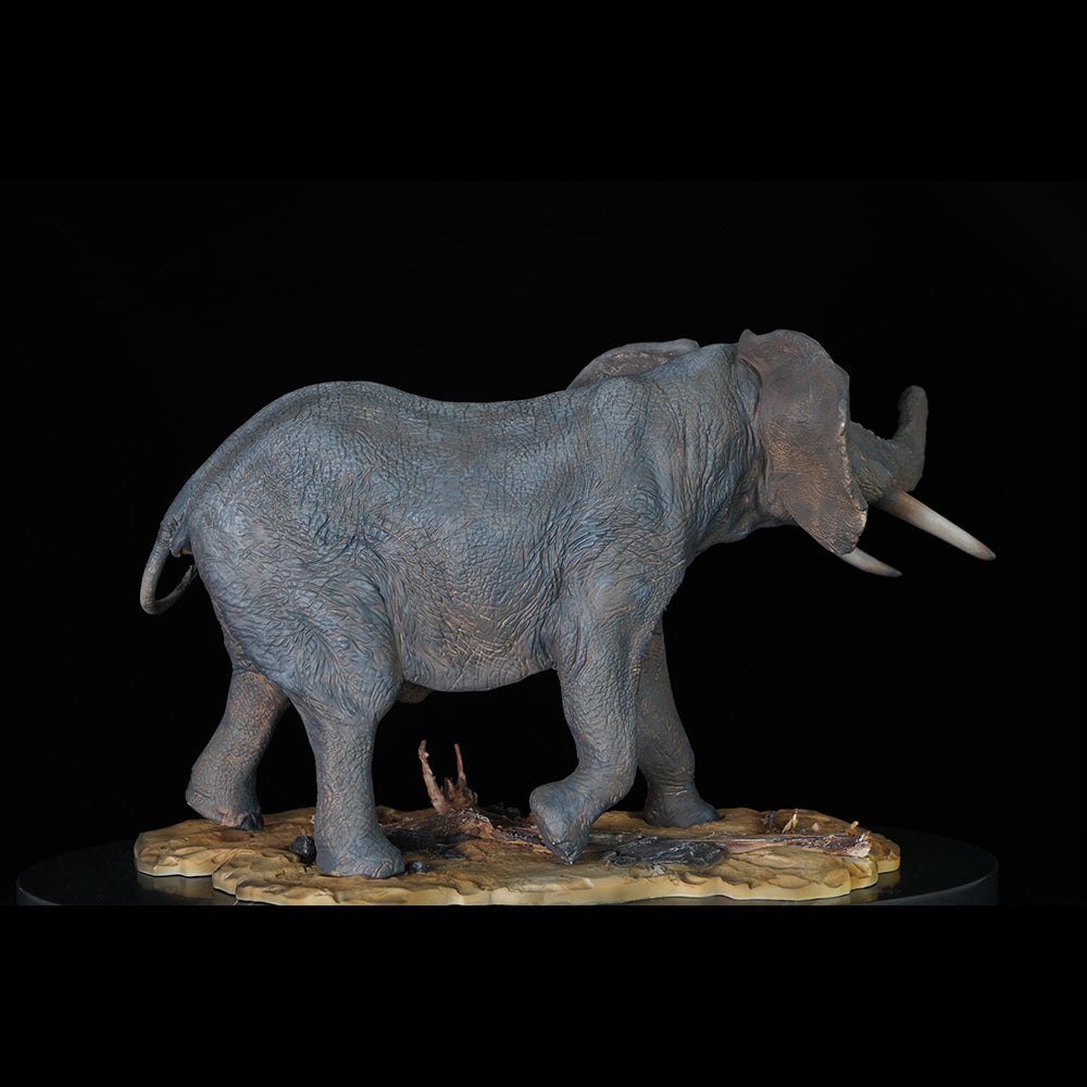Loxodonta 1/15 Memory Museum Studio