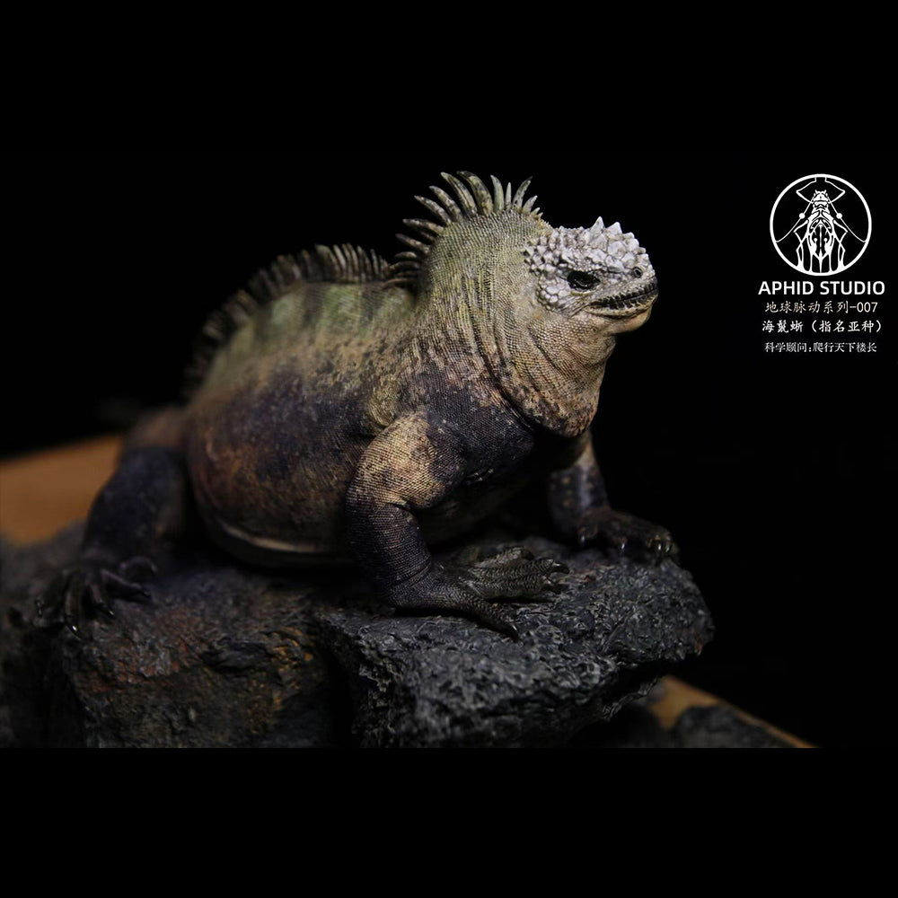 Amblyrhynchus cristatus statue Model Kit 1:4 1:10 1:18 Scale APHID STUDIO