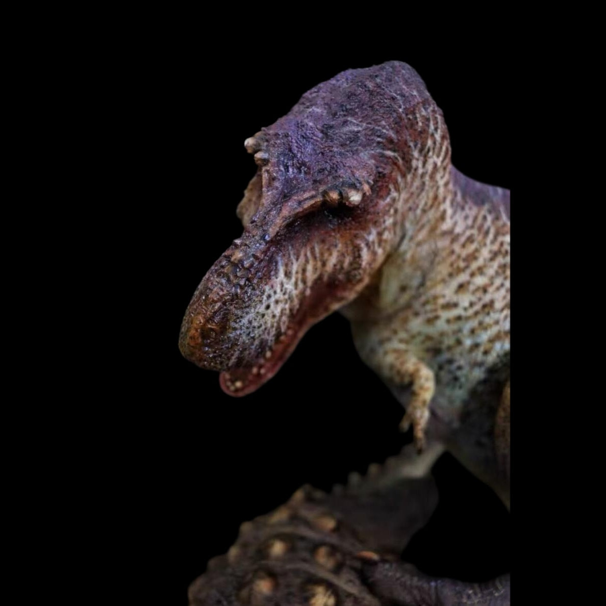 Tyrannosaurus Rex VS Ankylosaurus Scene statue Model Kit 1:15 Scale Showanna Studio
