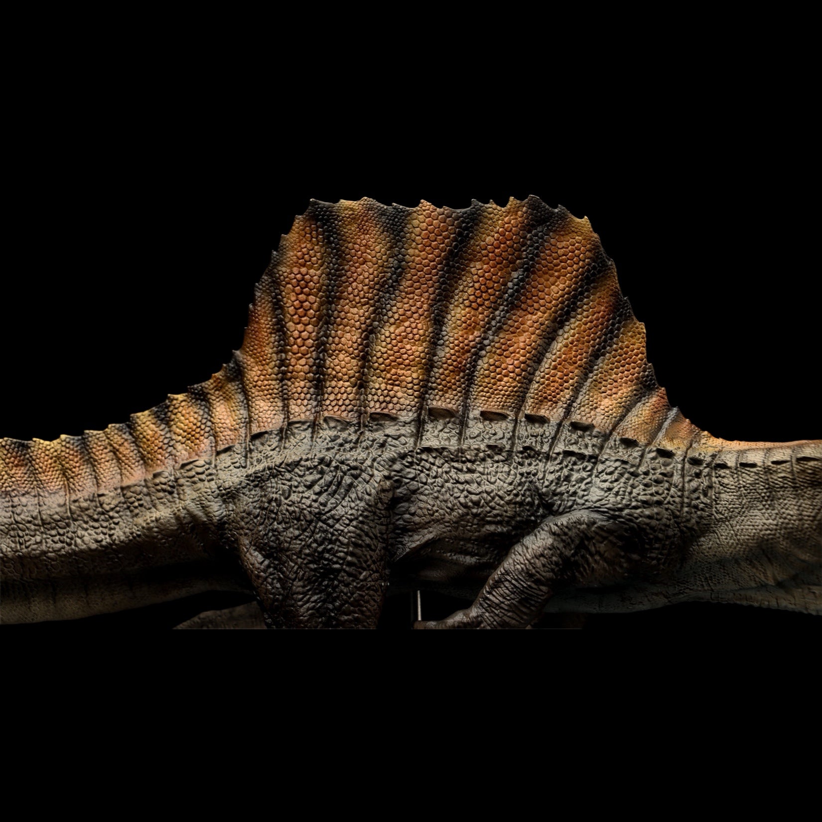 DinoDream | Jurassic World Spinosaurus Swim Version Statue | 1/30 Scale