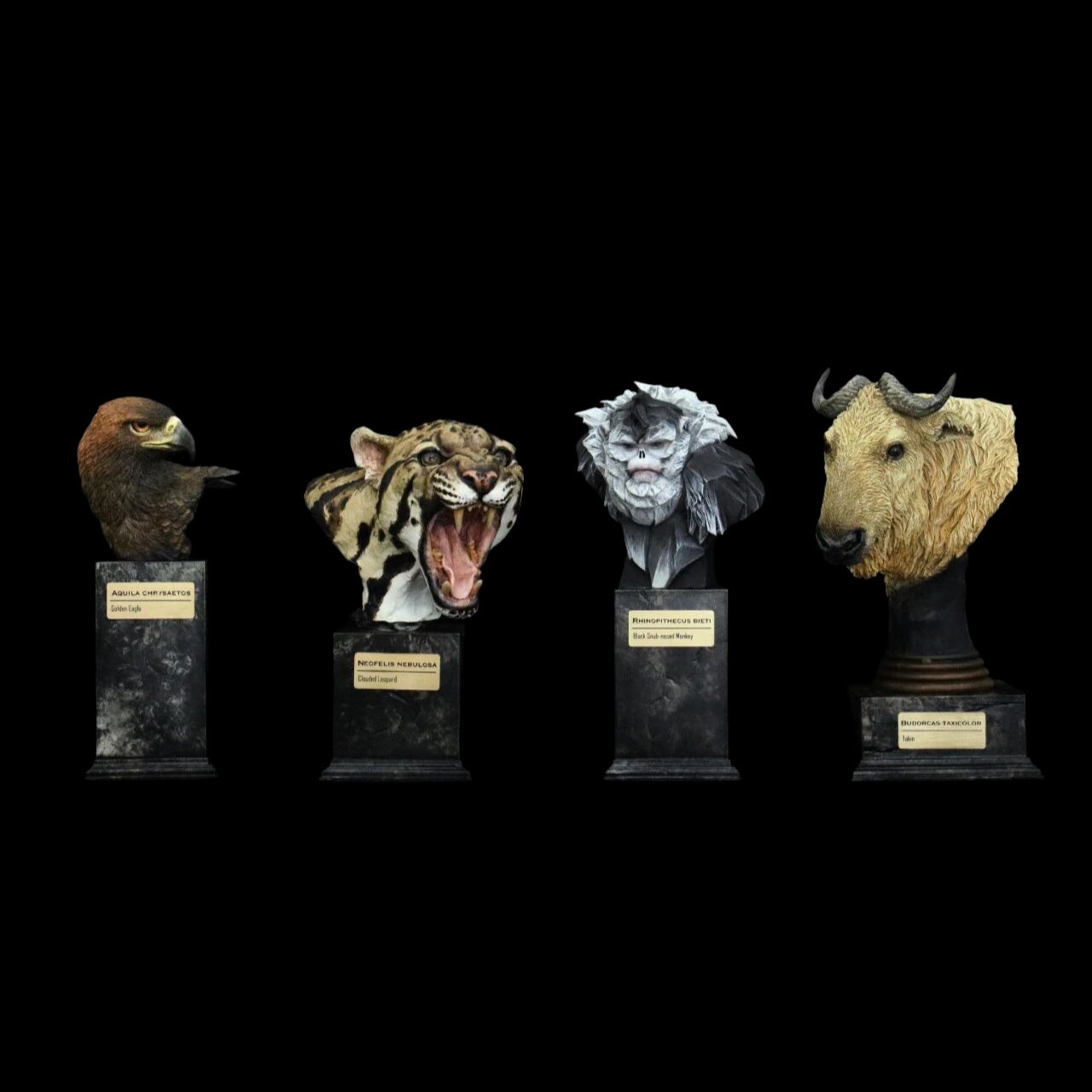 GOLDEN EAGLE · YUNNAN SNUB-NOSED MONKEY · TAKIN · CLOUDED LEOPARD WILD CHINA: ENDANGERED SPECIES ART STATUE PROJECT