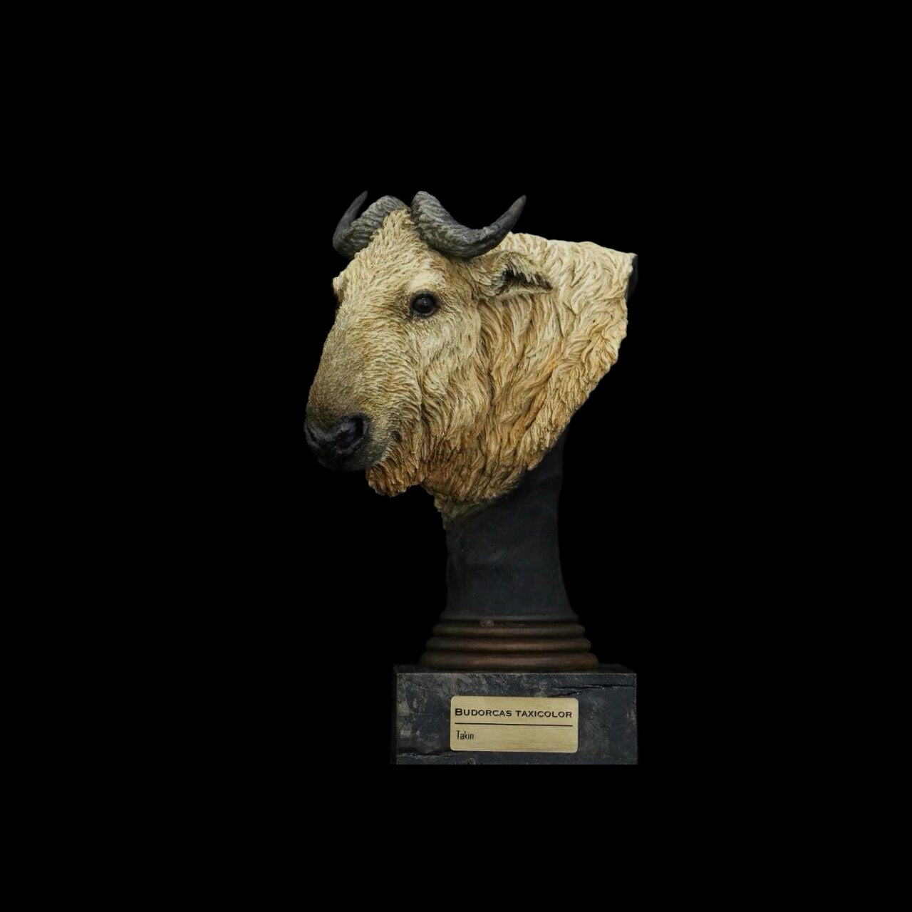 GOLDEN EAGLE · YUNNAN SNUB-NOSED MONKEY · TAKIN · CLOUDED LEOPARD WILD CHINA: ENDANGERED SPECIES ART STATUE PROJECT