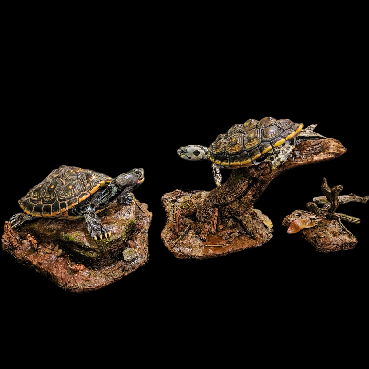 MANGROVE DIAMONDBACK TERRAPIN ECO-DIORAMA STATUE DINAVOID Studio