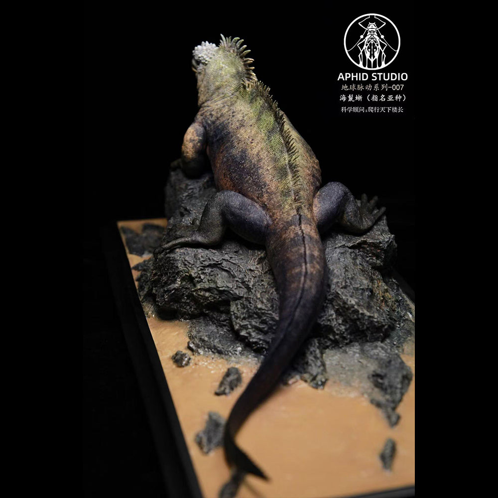 Amblyrhynchus cristatus statue Model Kit 1:4 1:10 1:18 Scale APHID STUDIO