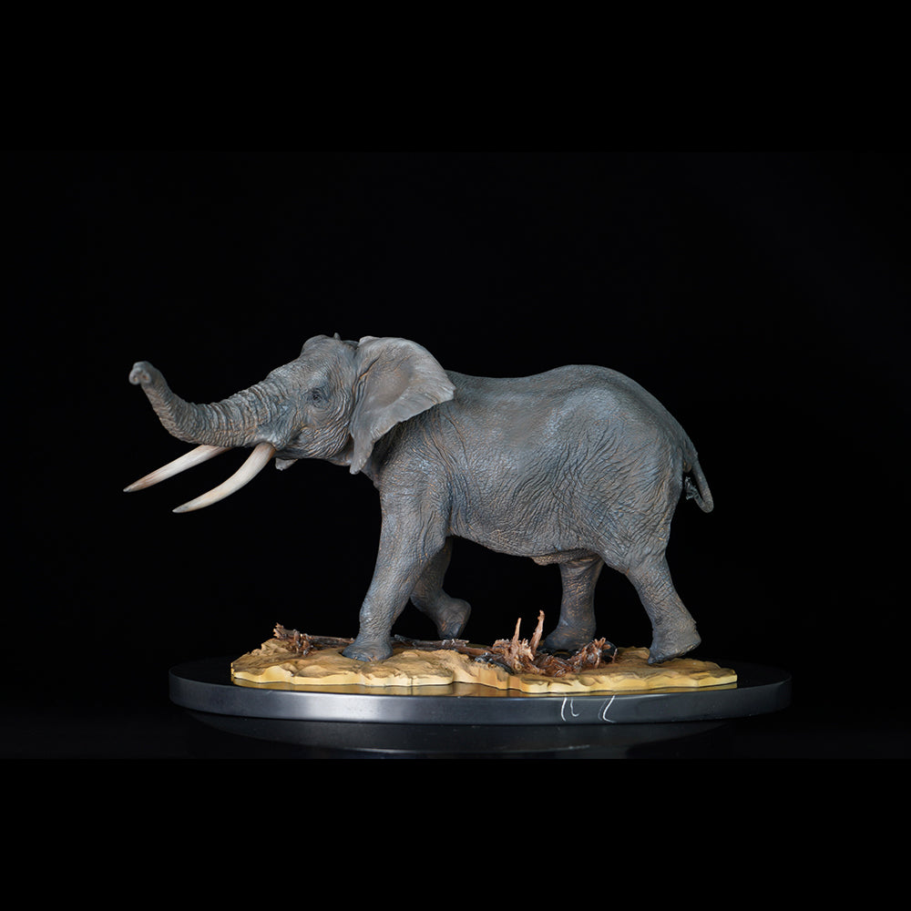 Loxodonta 1/15 Memory Museum Studio