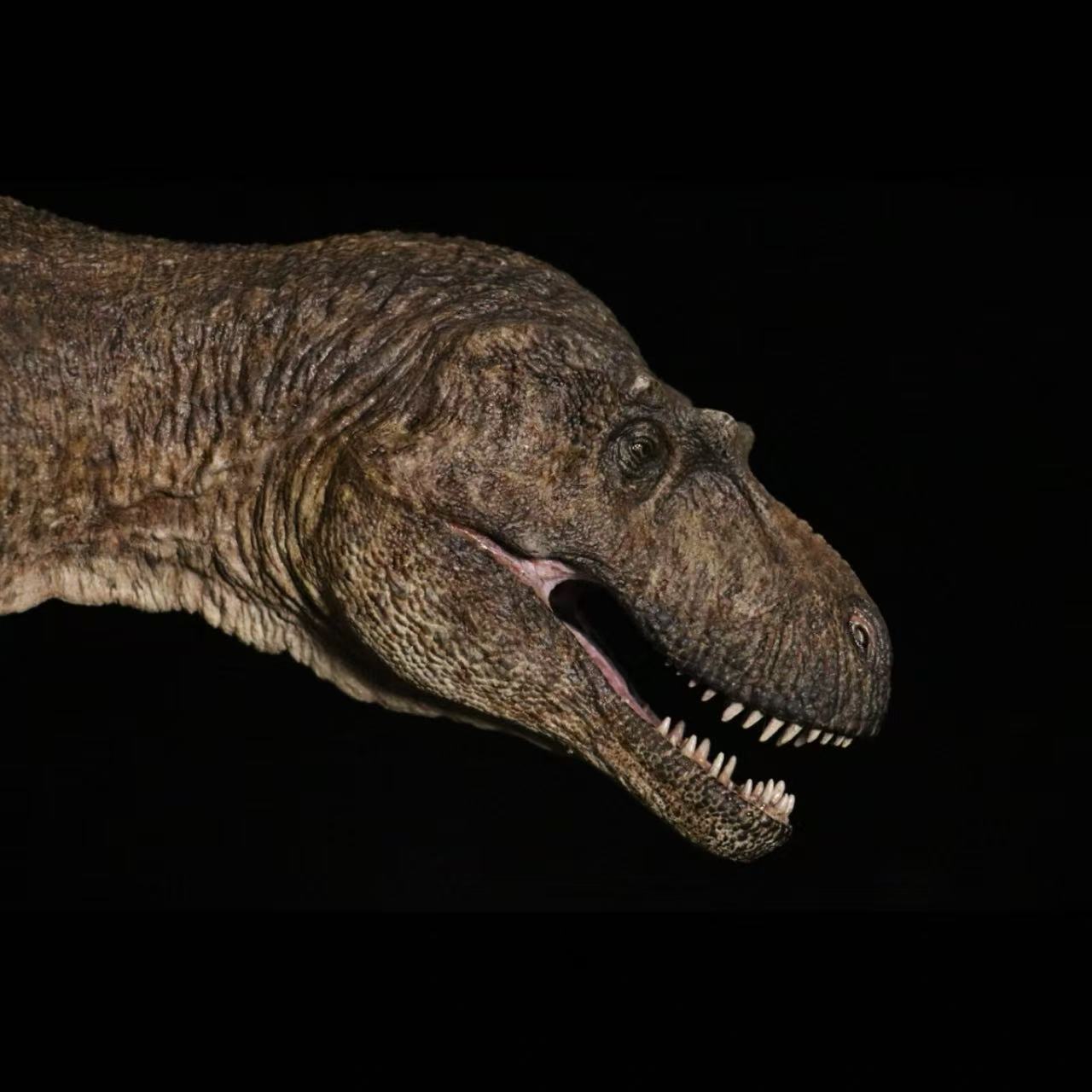 Lythronax argestes statue Model Kit 1:15 1:35 Scale Vikas Prajapat