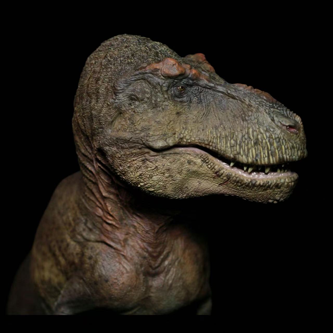 Tyrannosaurus rex – Reg Statue Model Kit 1:18 Scale Sumeru Studio