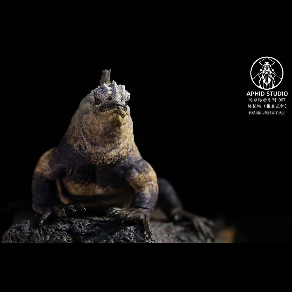 Amblyrhynchus cristatus statue Model Kit 1:4 1:10 1:18 Scale APHID STUDIO