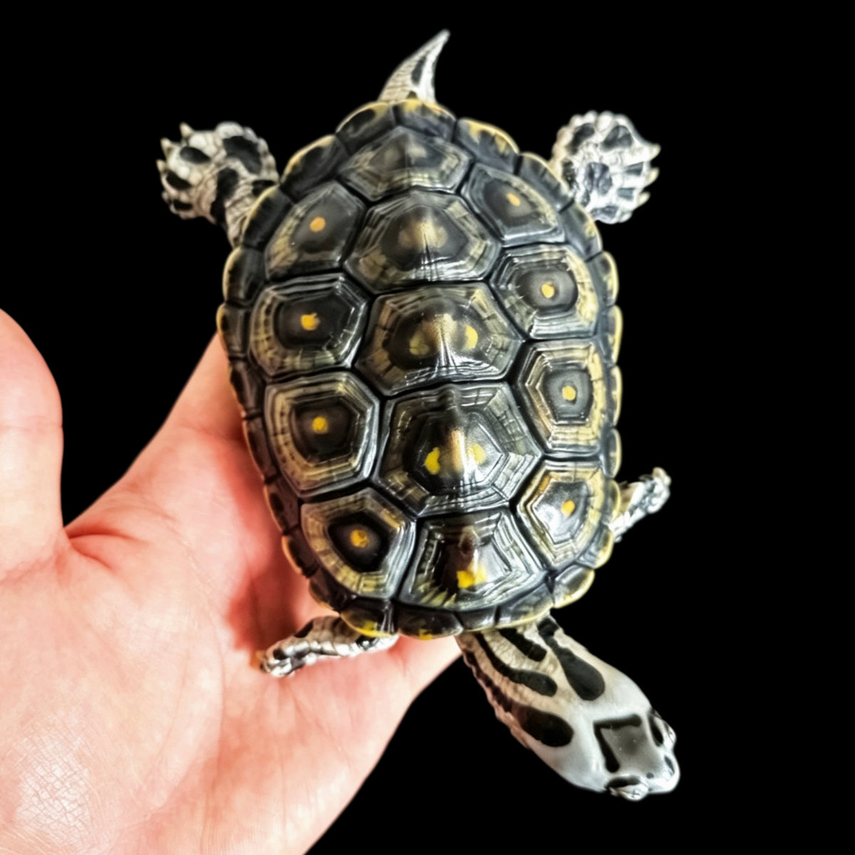 MANGROVE DIAMONDBACK TERRAPIN ECO-DIORAMA STATUE DINAVOID Studio
