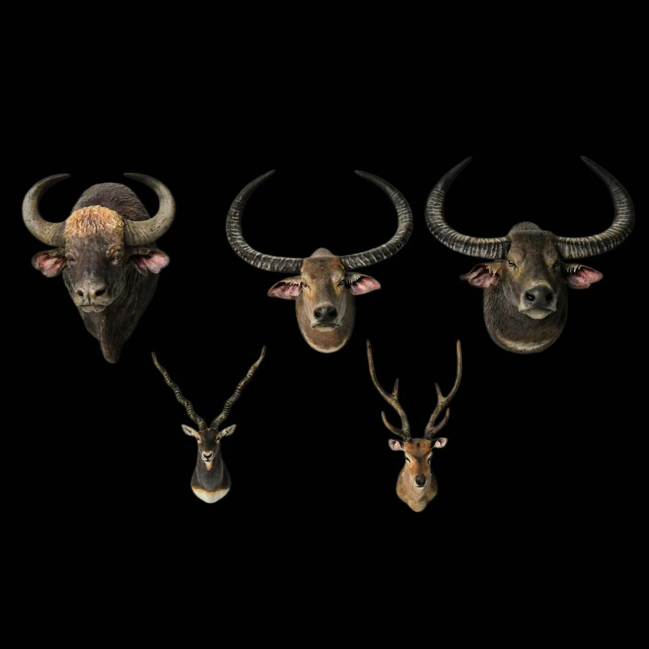 ASIAN WILDLIFE BUST SERIES (SET OF 5) Gaur, Wild Water Buffalo (M/F), Blackbuck & Chital statue Model Kit 1:10 Scale Long-Legged Rhino Studio