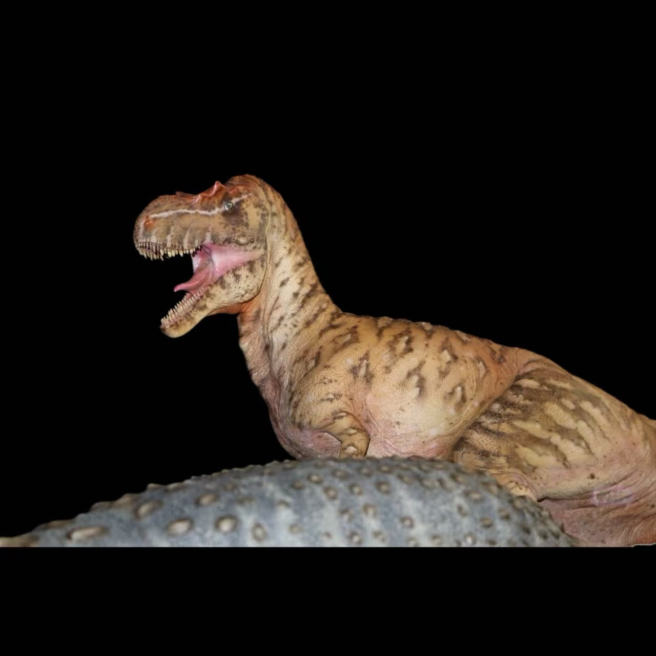 Albertosaurus vs. Edmontonia: "The Gambit" statue Model Kit 1:18 Scale Dinosoul Studio