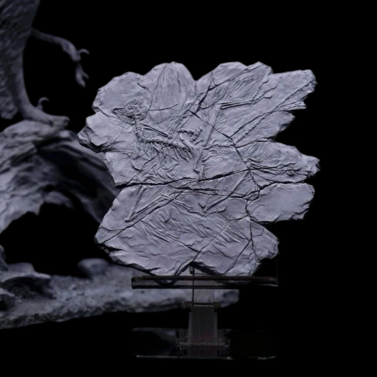 Anchiornis huxleyi statue Model Kit 1:2 Scale LEE Studio