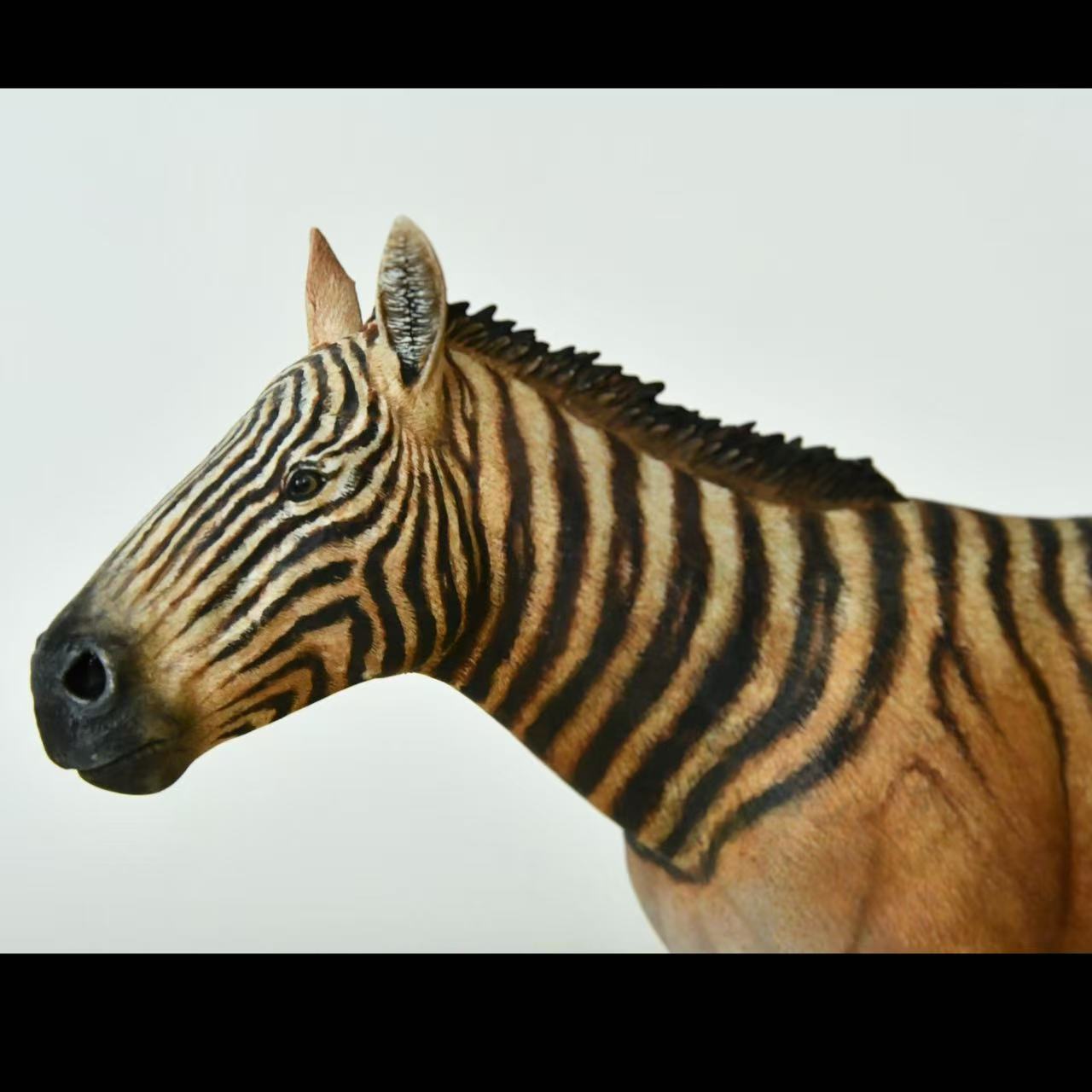 Quagga statue Model Kit 1:35 1:15 1:10 Scale Tall Rhino Studio