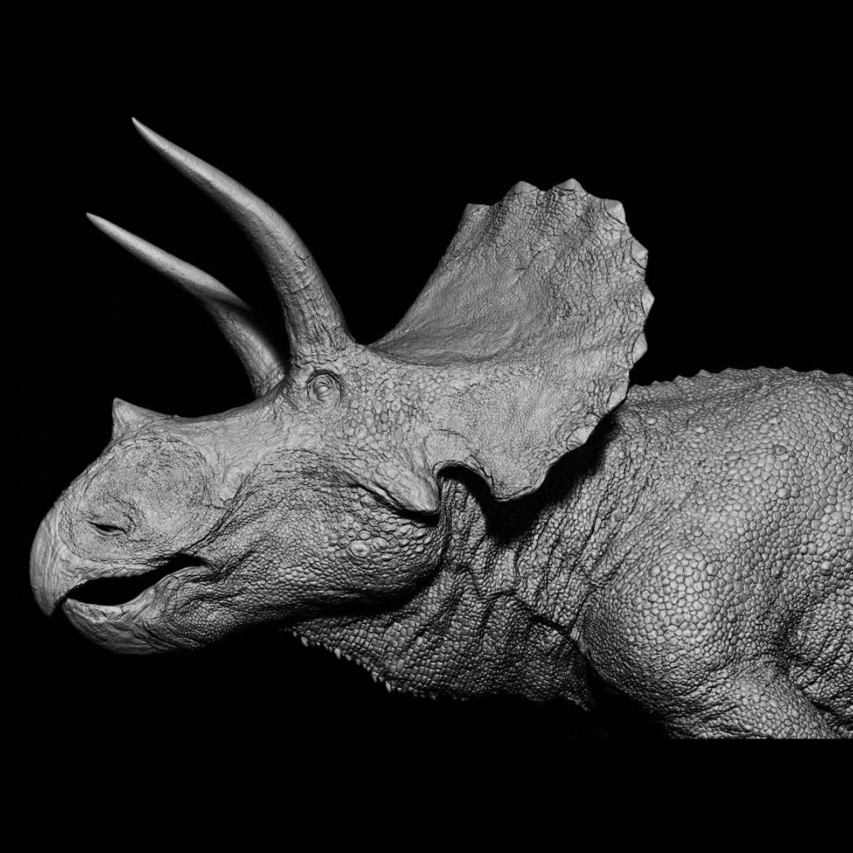 eotriceratops-xerinsularis-collector-statue-detail-frills.jpg