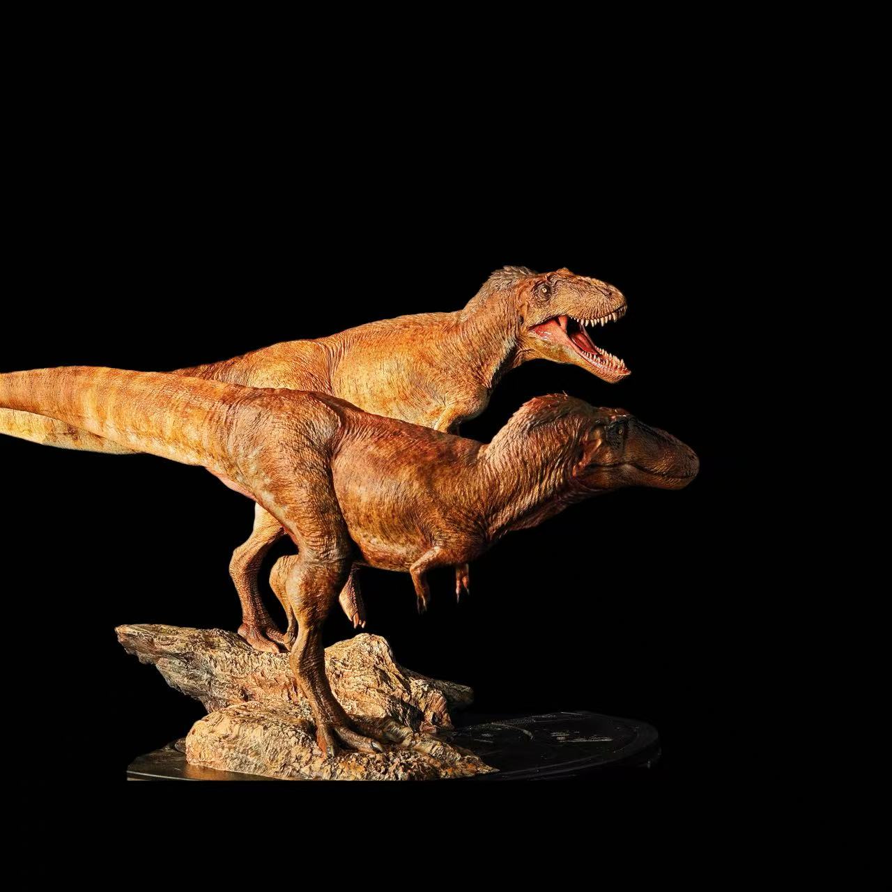 Asiatyrannus xui statue Model Kit 1:35 1:18 1:10 Scale Carson Long Studio