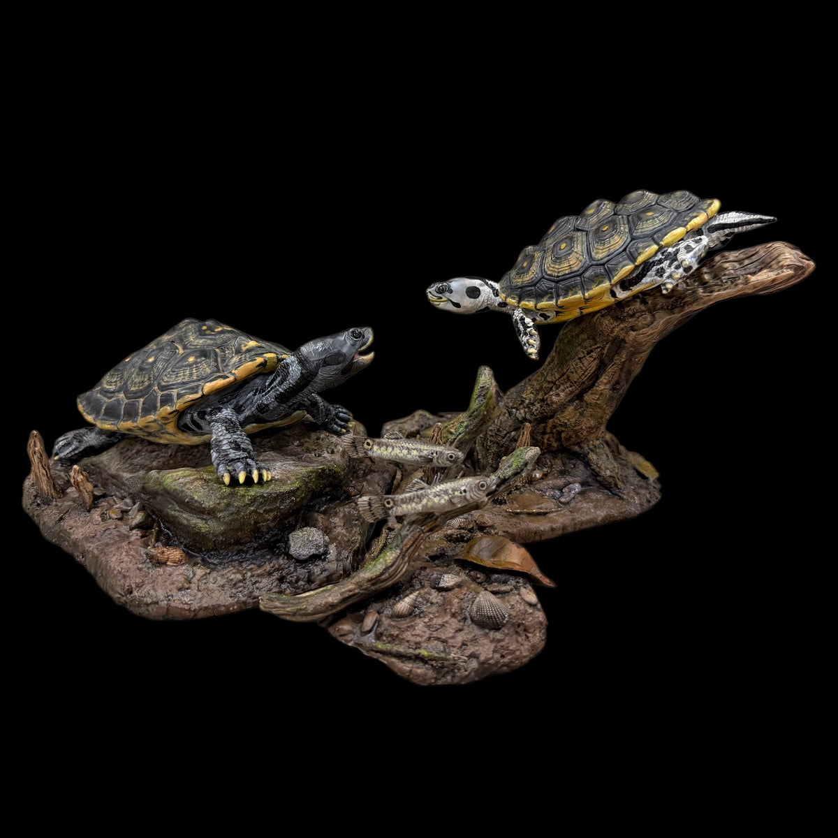 MANGROVE DIAMONDBACK TERRAPIN ECO-DIORAMA STATUE DINAVOID Studio