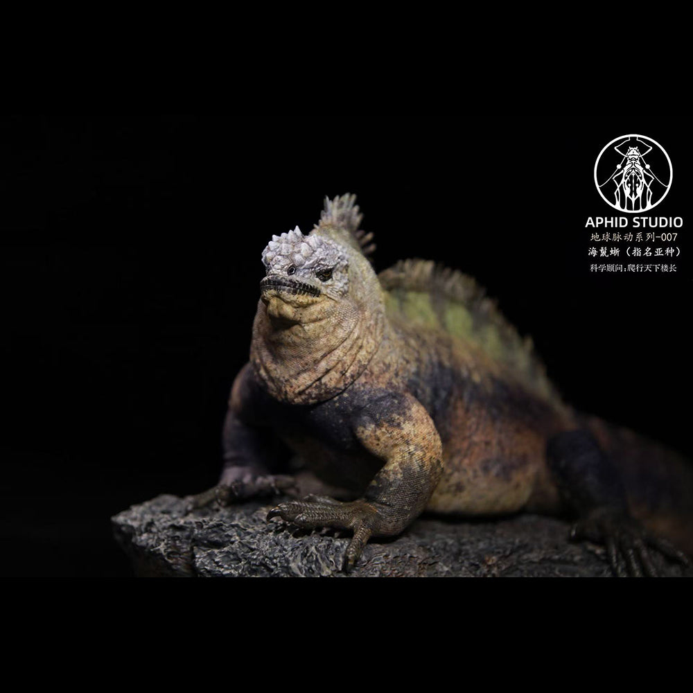 Amblyrhynchus cristatus statue Model Kit 1:4 1:10 1:18 Scale APHID STUDIO