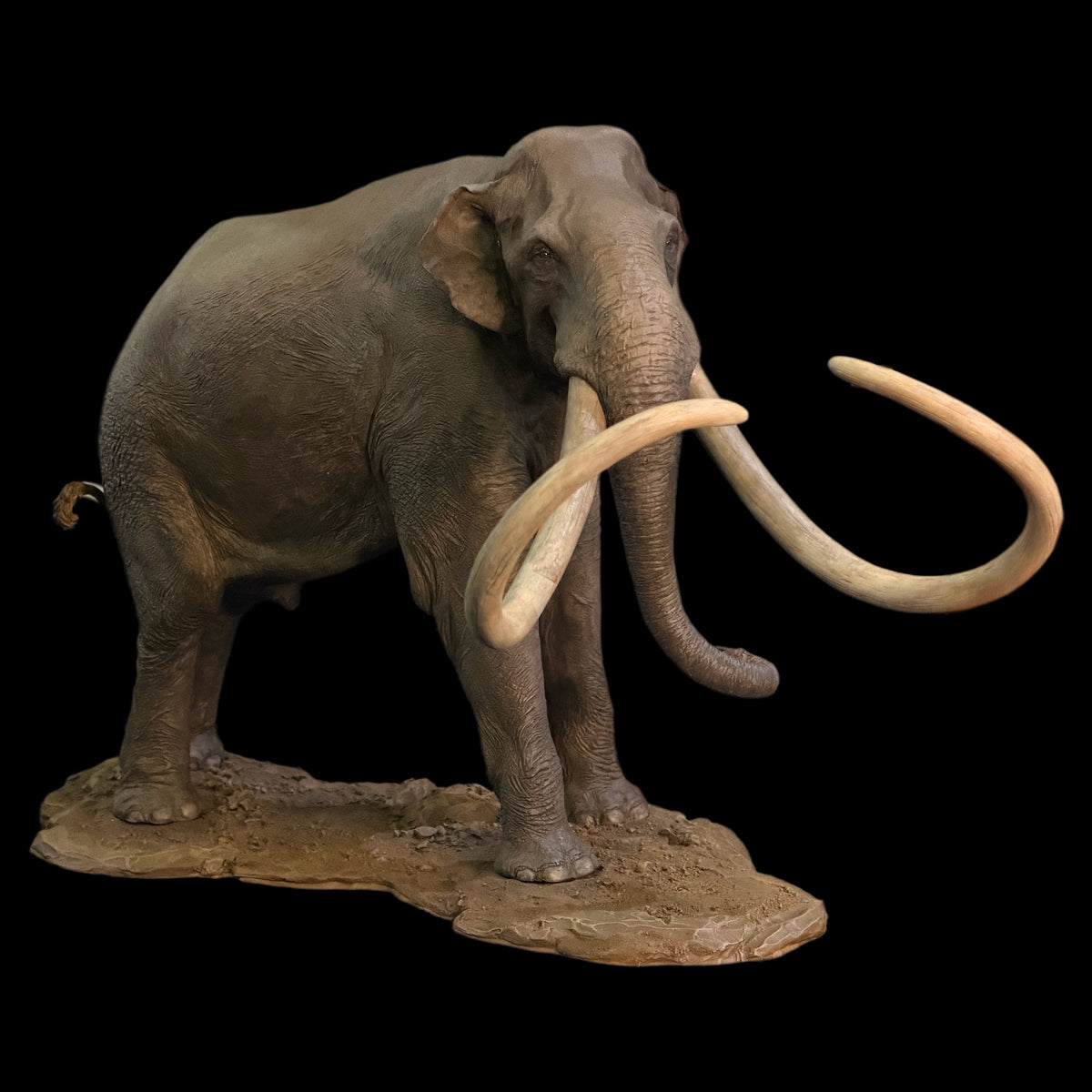 COLUMBIAN MAMMOTH 1:18 MUSEUM-GRADE BRONZE STATUE Dinosoul Studio