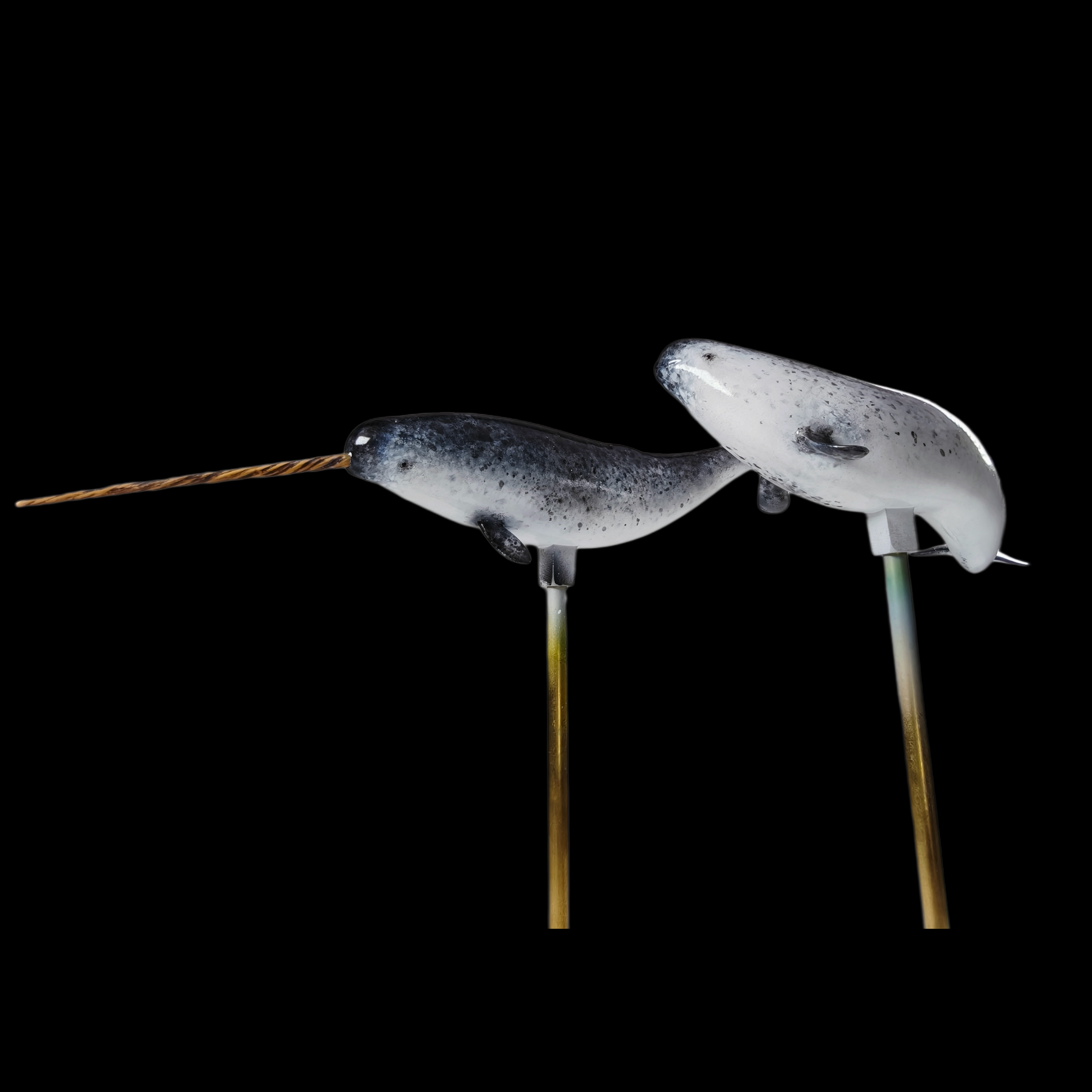 NARWHAL statue Model Kit 1:35 Scale JAH Studio