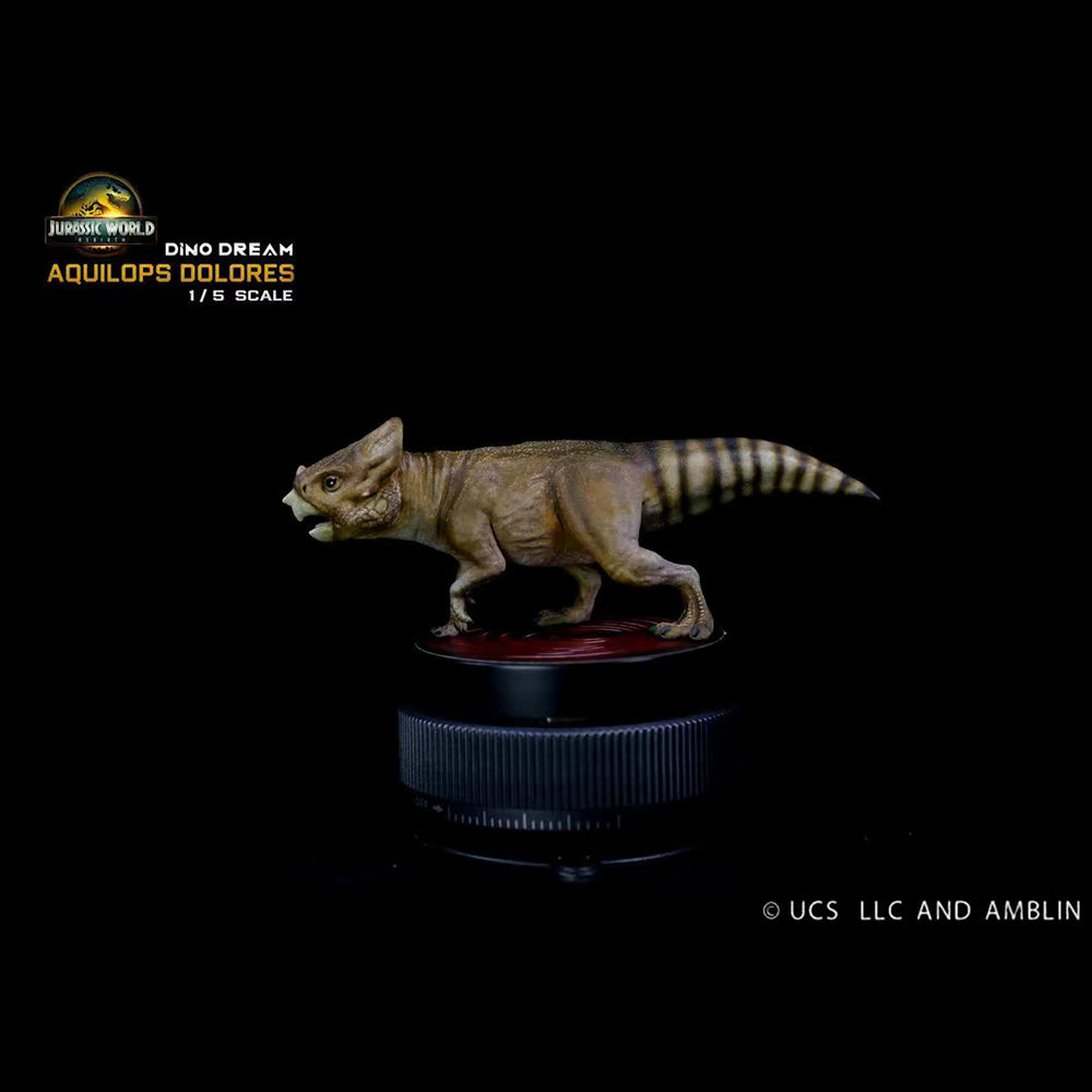 Aquilops Dolores Model 1/5 DINO DREAM Studio