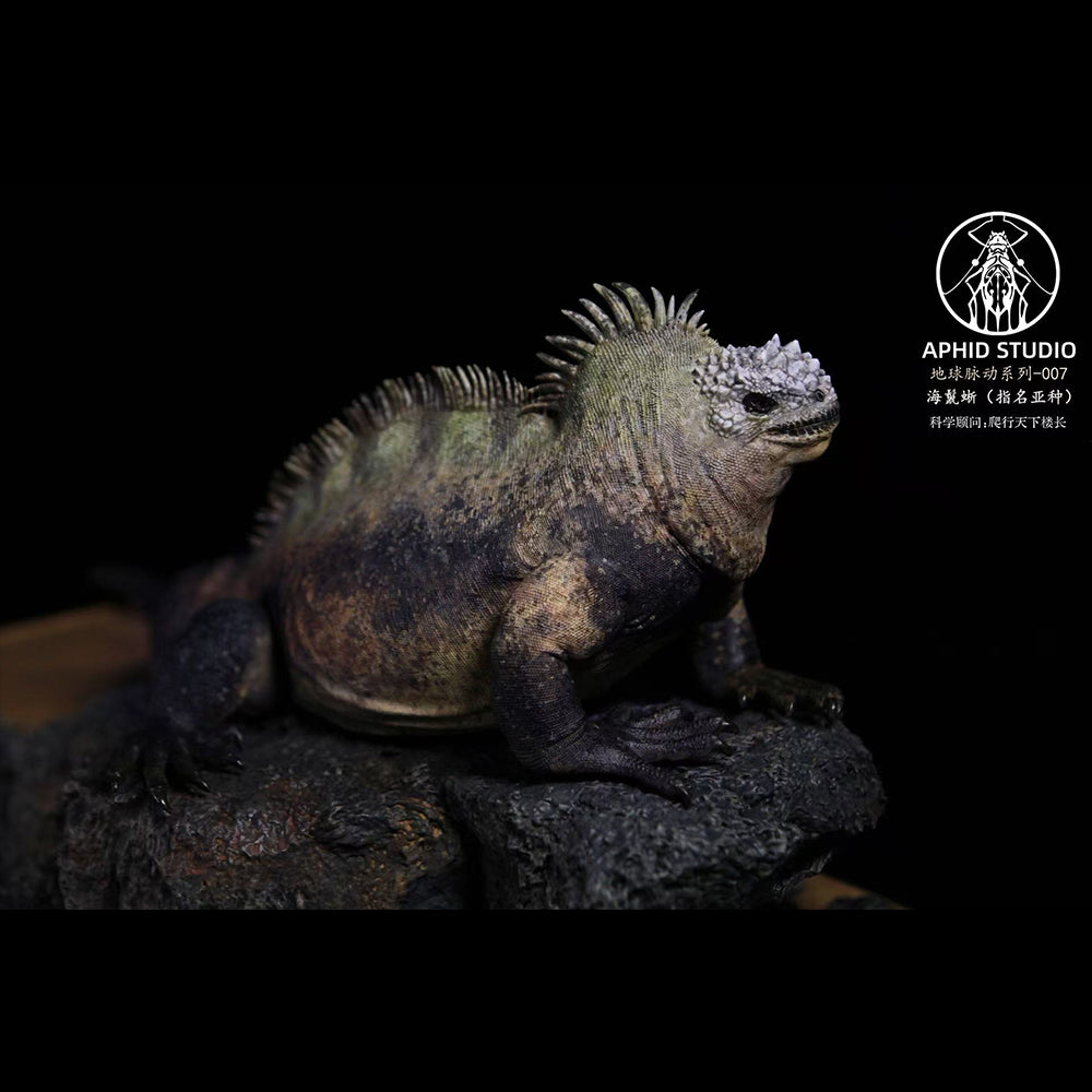 Amblyrhynchus cristatus statue Model Kit 1:4 1:10 1:18 Scale APHID STUDIO