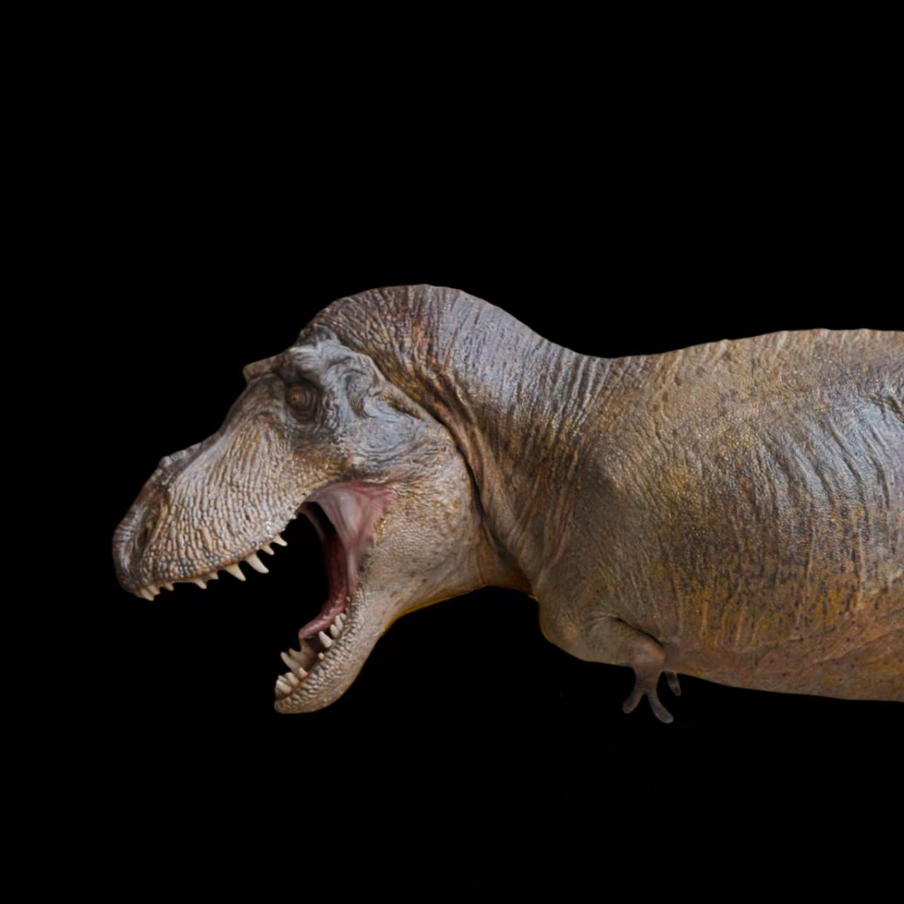 Tyrannosaurus Statue Model Kit 1:18 1:35 1:64 Scale Kex Studio