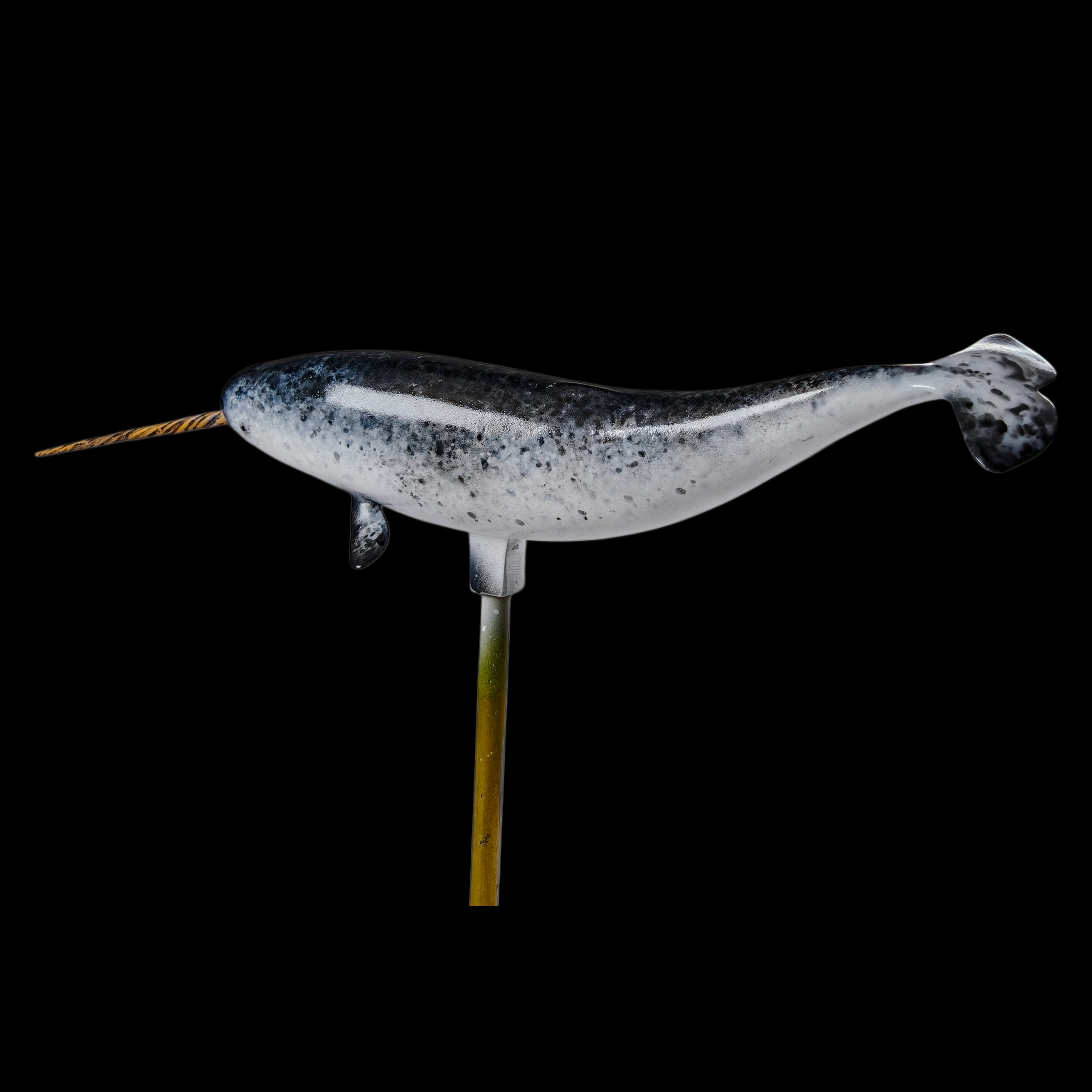 NARWHAL statue Model Kit 1:35 Scale JAH Studio