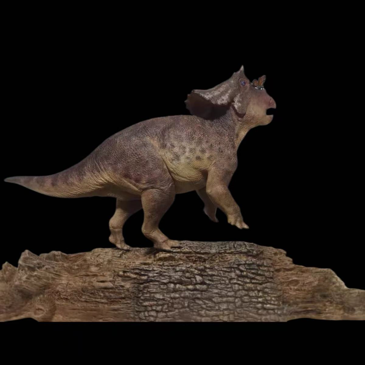 Juvenile Triceratops Scene Statue Model Kit 1:10 ScaleDinosoul Studio