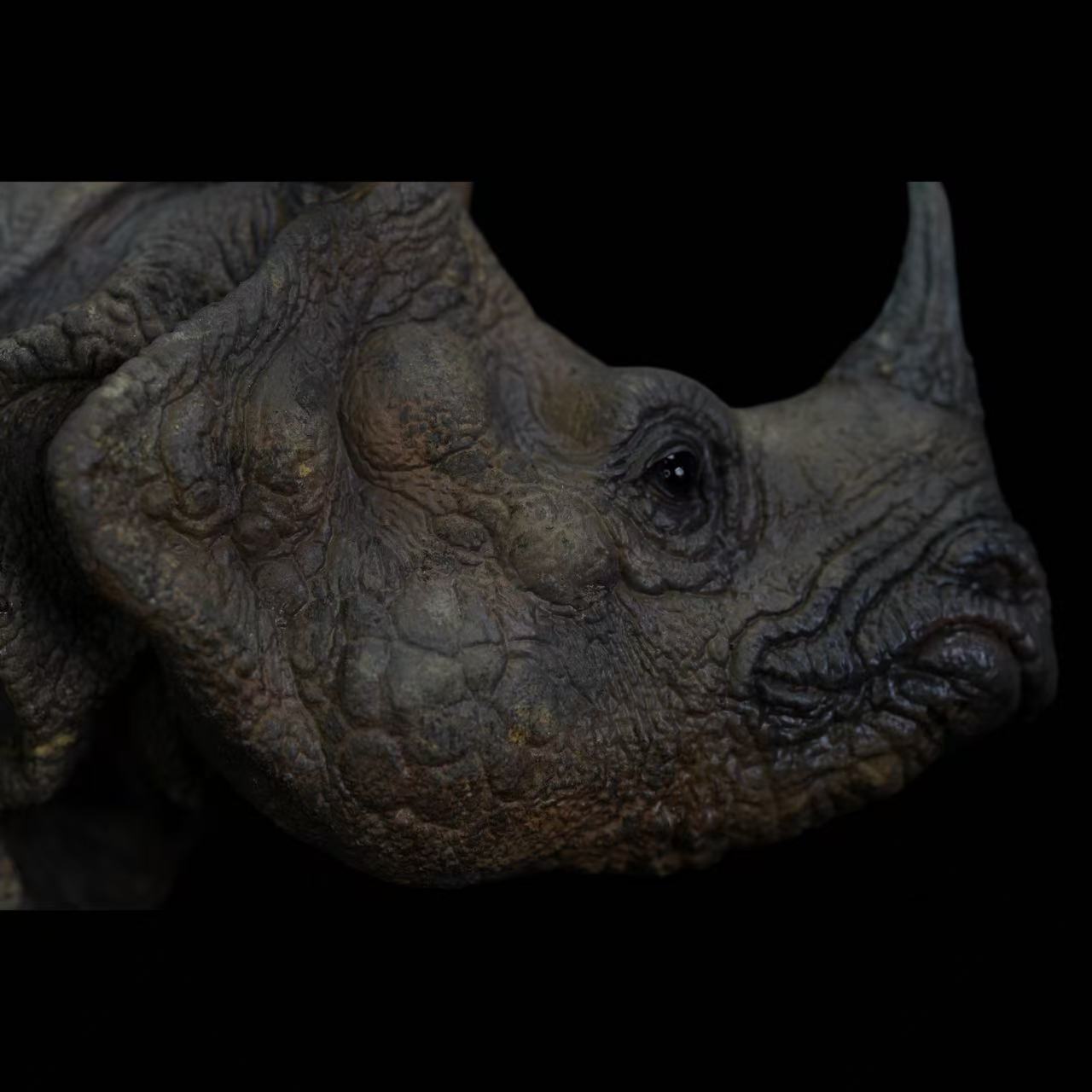 Greater One-Horned Rhinoceros Statue Model Kit 1:10 1:15 Scale Memory Museum