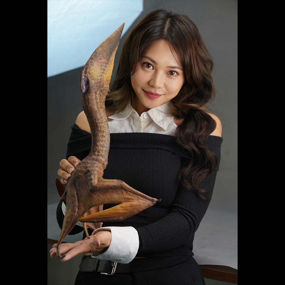 Hatzegopteryx Statue Model Kit 1:18 Scale Musee Studio