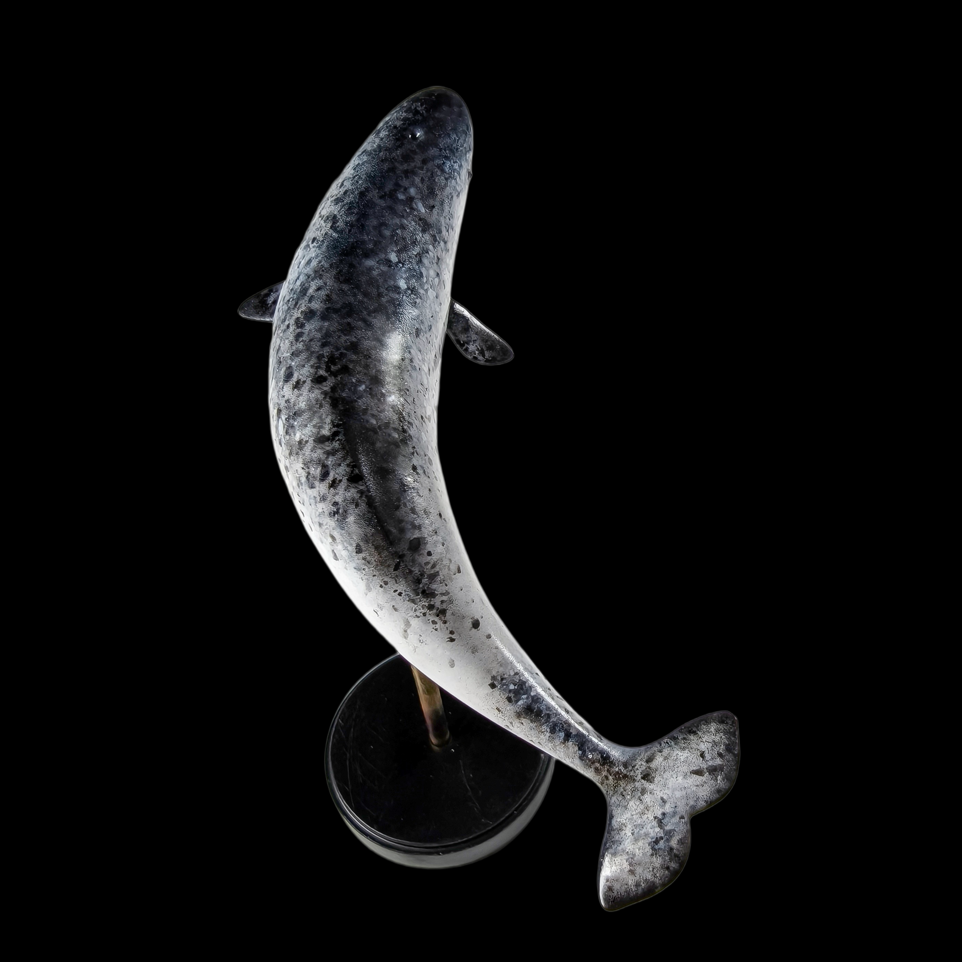 NARWHAL statue Model Kit 1:35 Scale JAH Studio