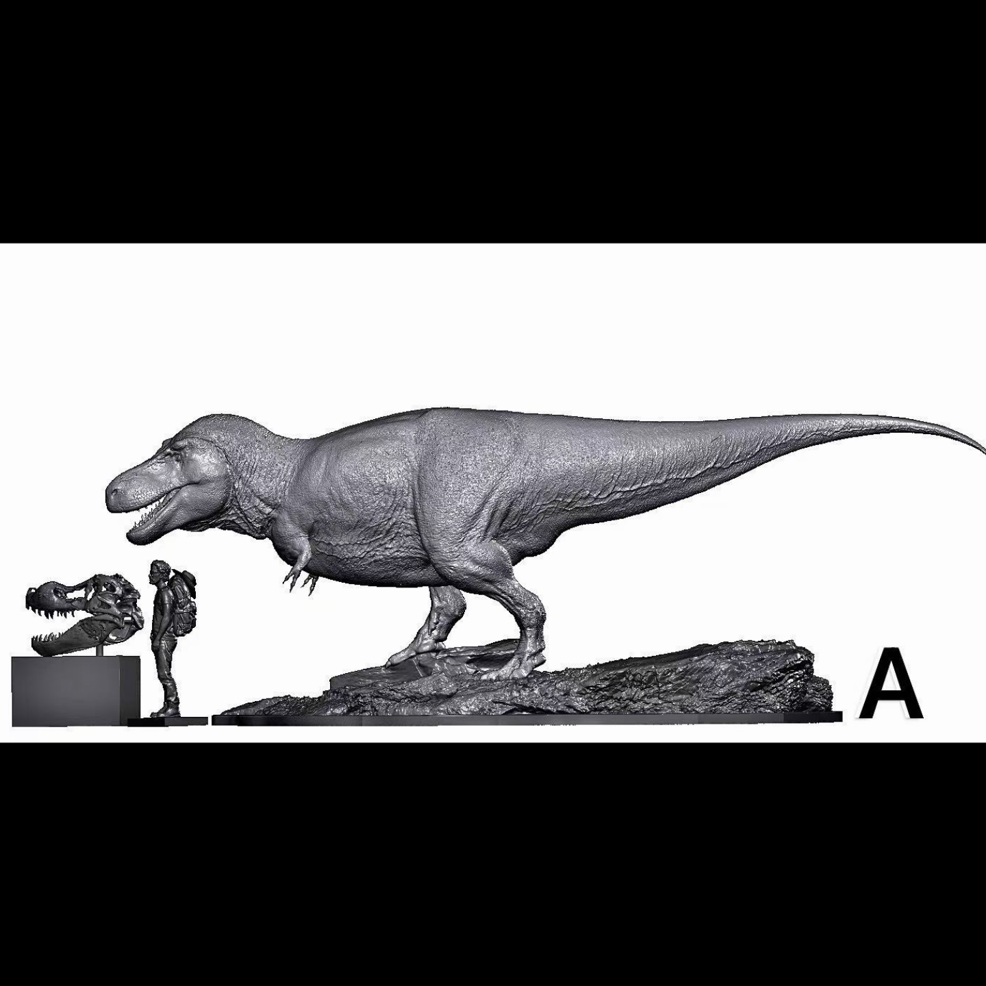 Tyrannosaurus rex SUE Statue Model Kit 1:10 1:15 1:18 Scale Art&Evolution Studio