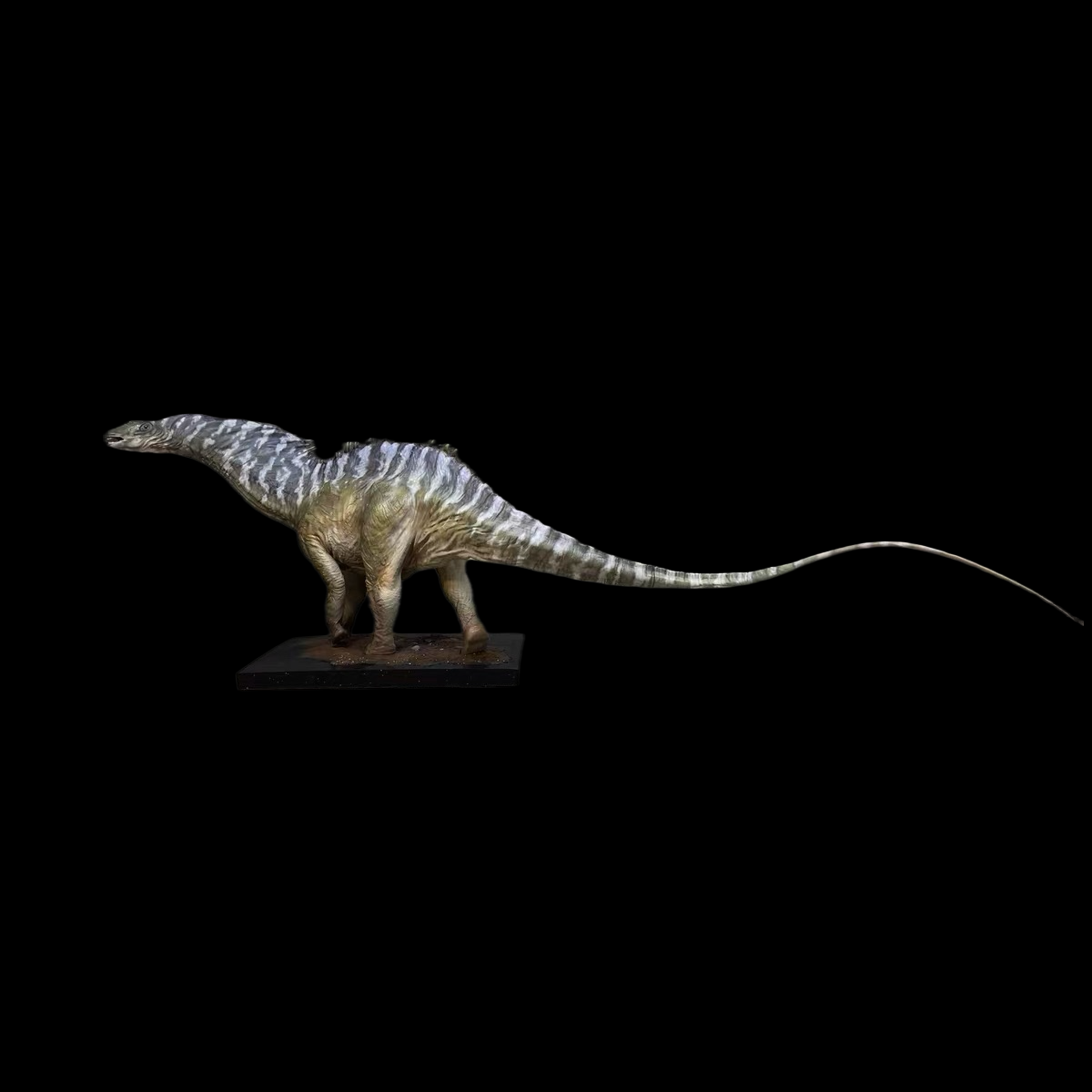 AMARGASAURUS MUSEUM statue Model Kit 1:15 Scale Cross Color Studio