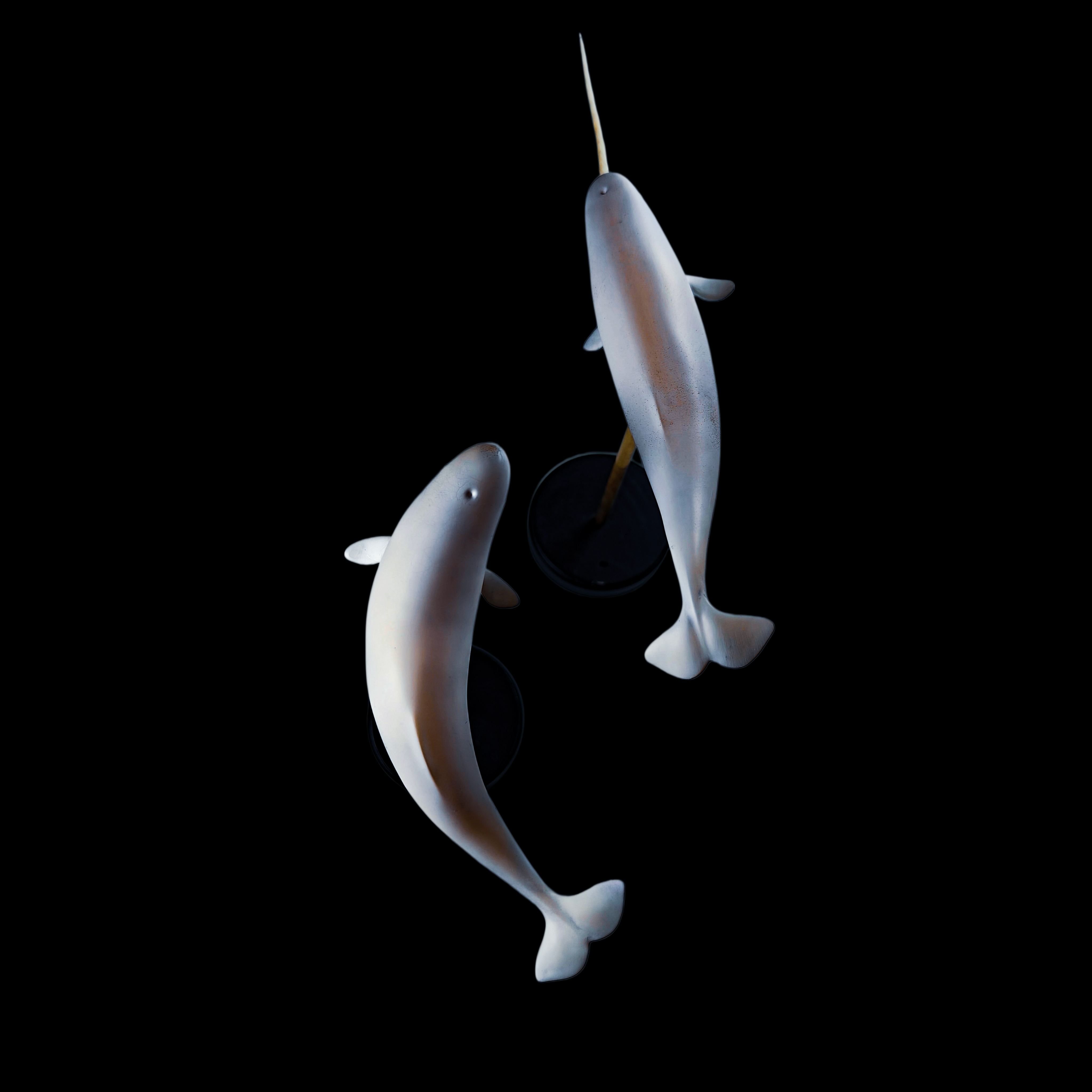 NARWHAL statue Model Kit 1:35 Scale JAH Studio