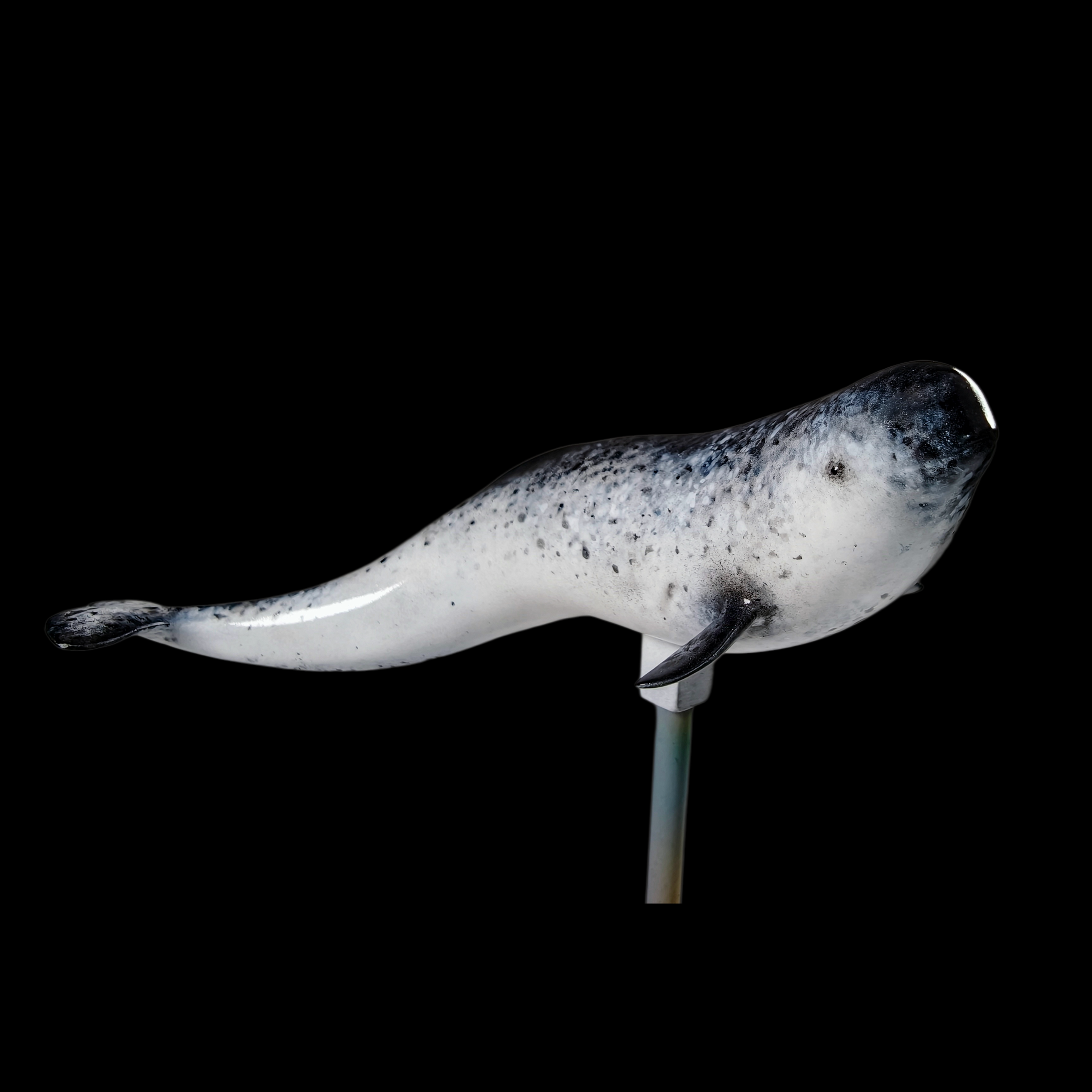 NARWHAL statue Model Kit 1:35 Scale JAH Studio