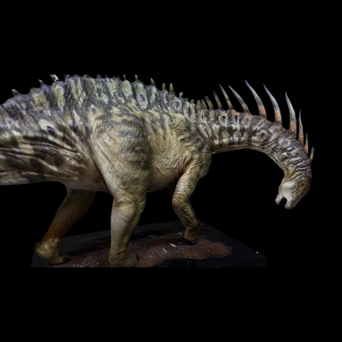 AMARGASAURUS MUSEUM statue Model Kit 1:15 Scale Cross Color Studio