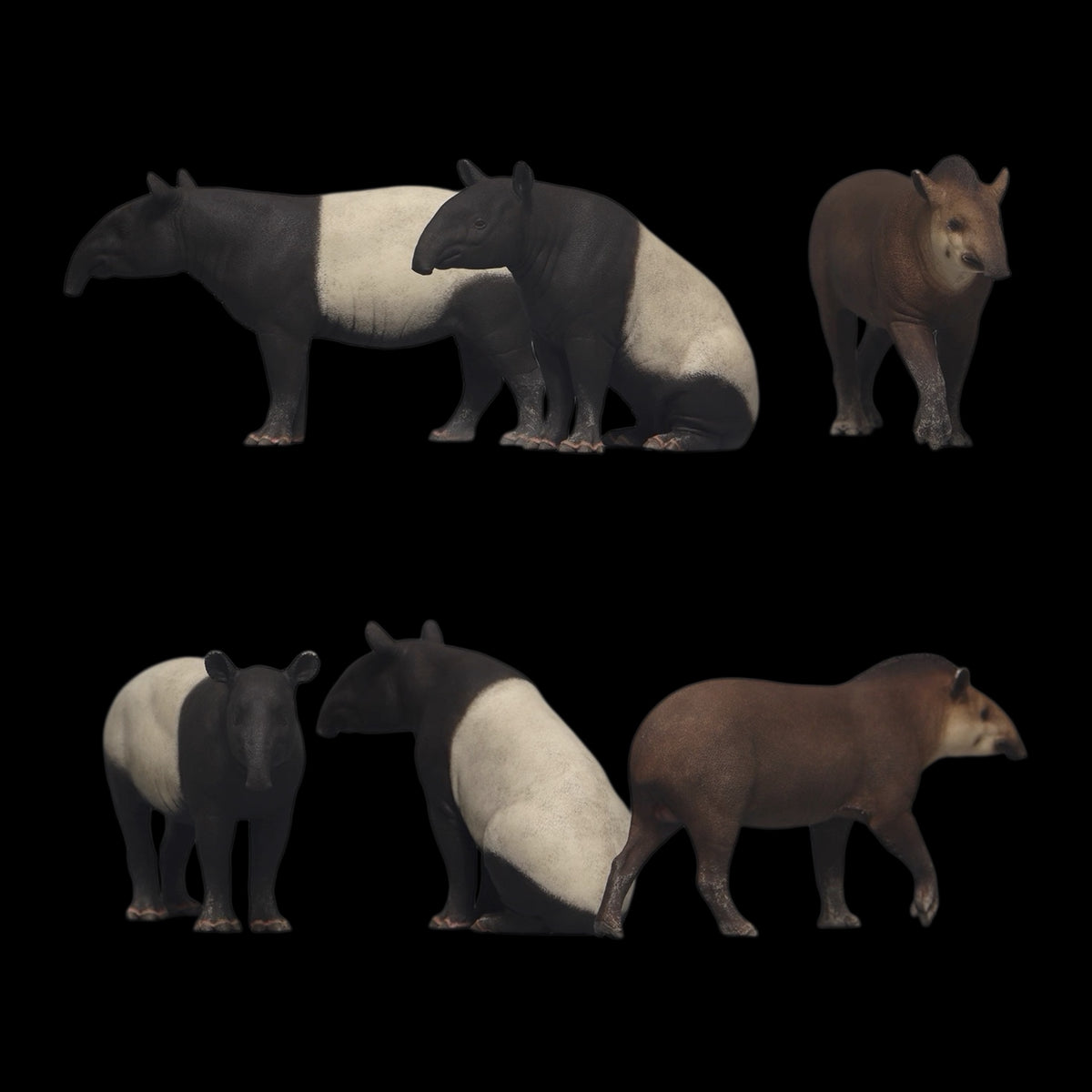 MALAYAN & SOUTH AMERICAN TAPIR statue Model Kit 1:18 1:15 1:10 Scale DaFei Studio