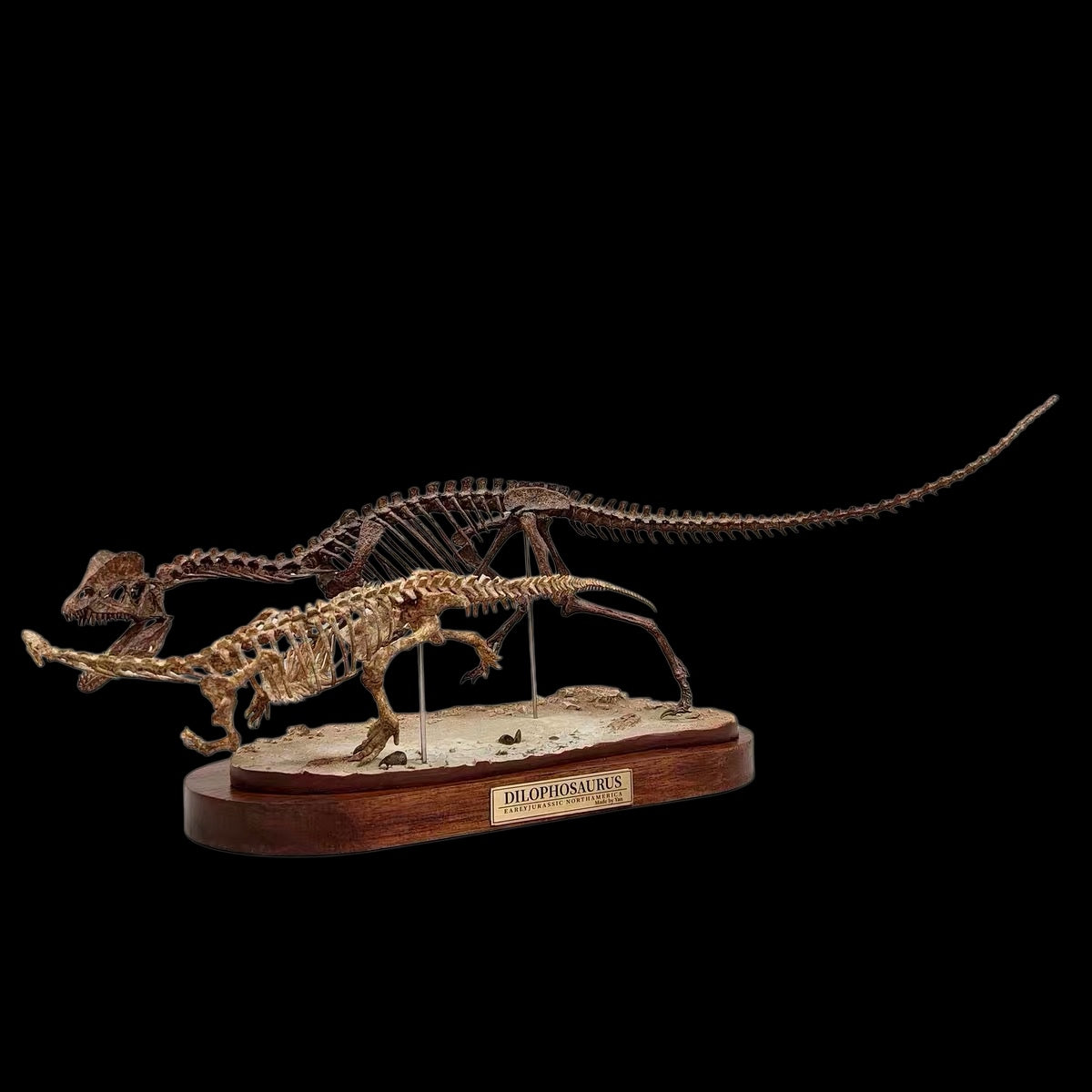 DILOPHOSAURUS HUNTING SARAHSAURUS SKELETAL DIORAMA 1:10 SCALE PAINTED EDITION