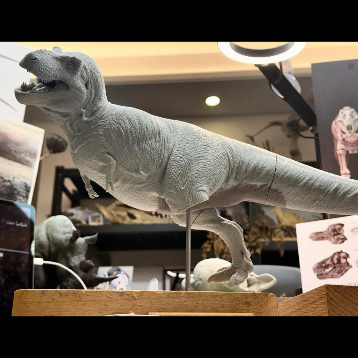 Tyrannosaurus rex statue Model Kit 1:20 Scale Tison Studio