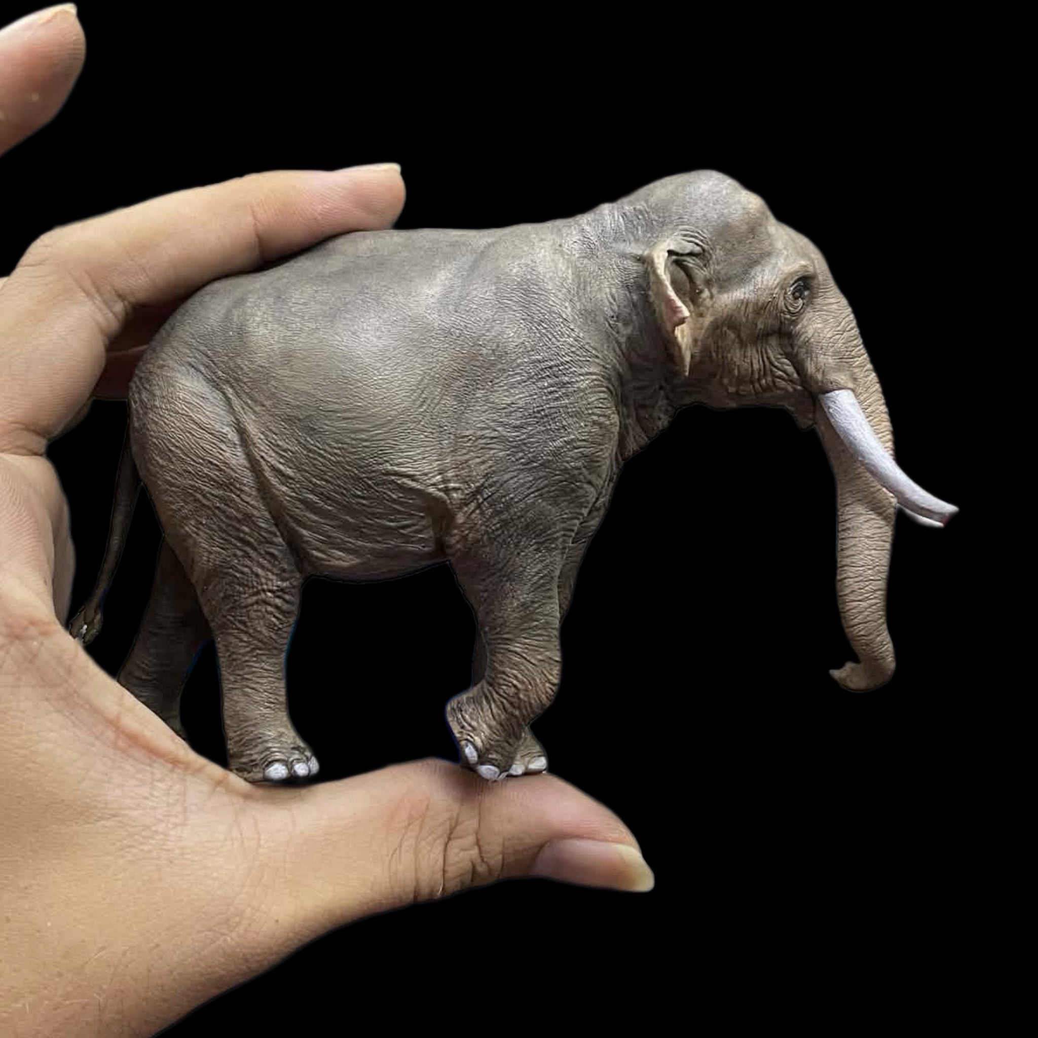 Asian elephant statue Model Kit 1:35 1:15 Scale The crocs man Studio