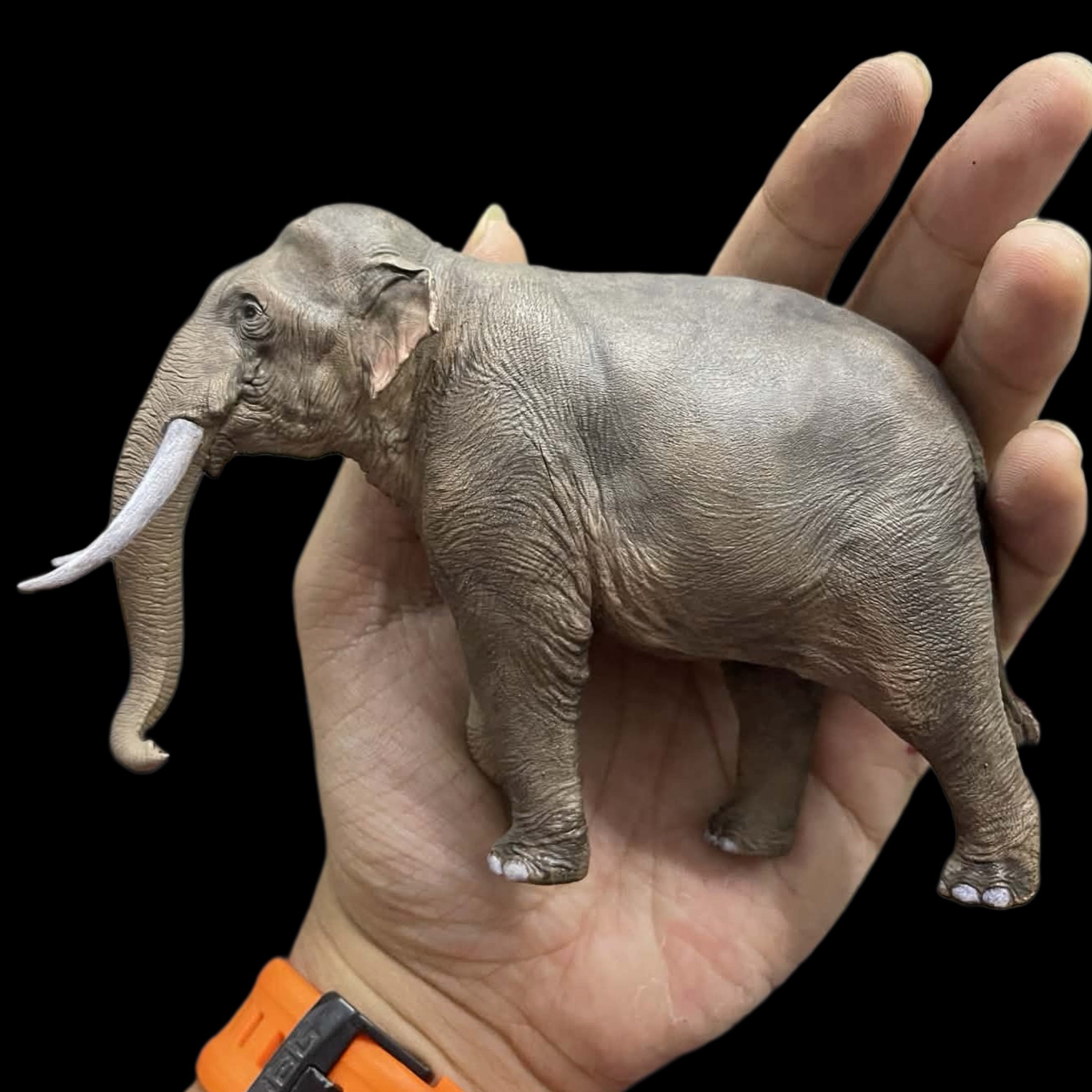 Asian elephant statue Model Kit 1:35 1:15 Scale The crocs man Studio