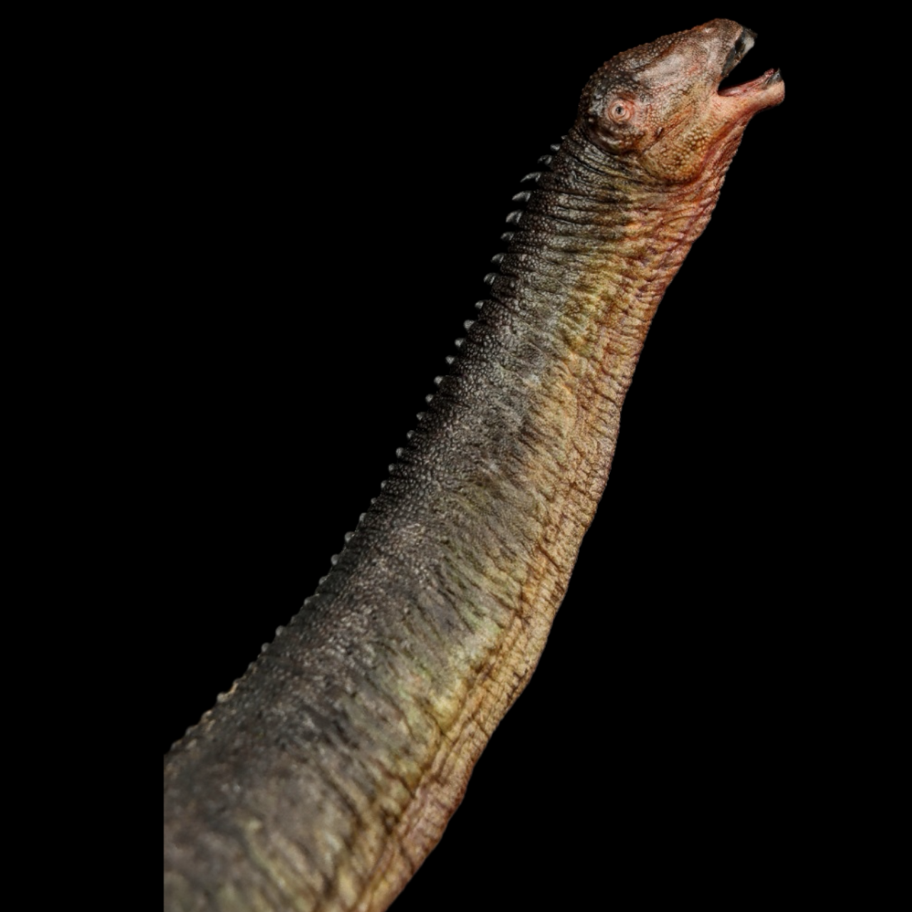 Patagotitan vs Tyrannotitan statue Model Kit 1:64 1:18 Scale AN Studio