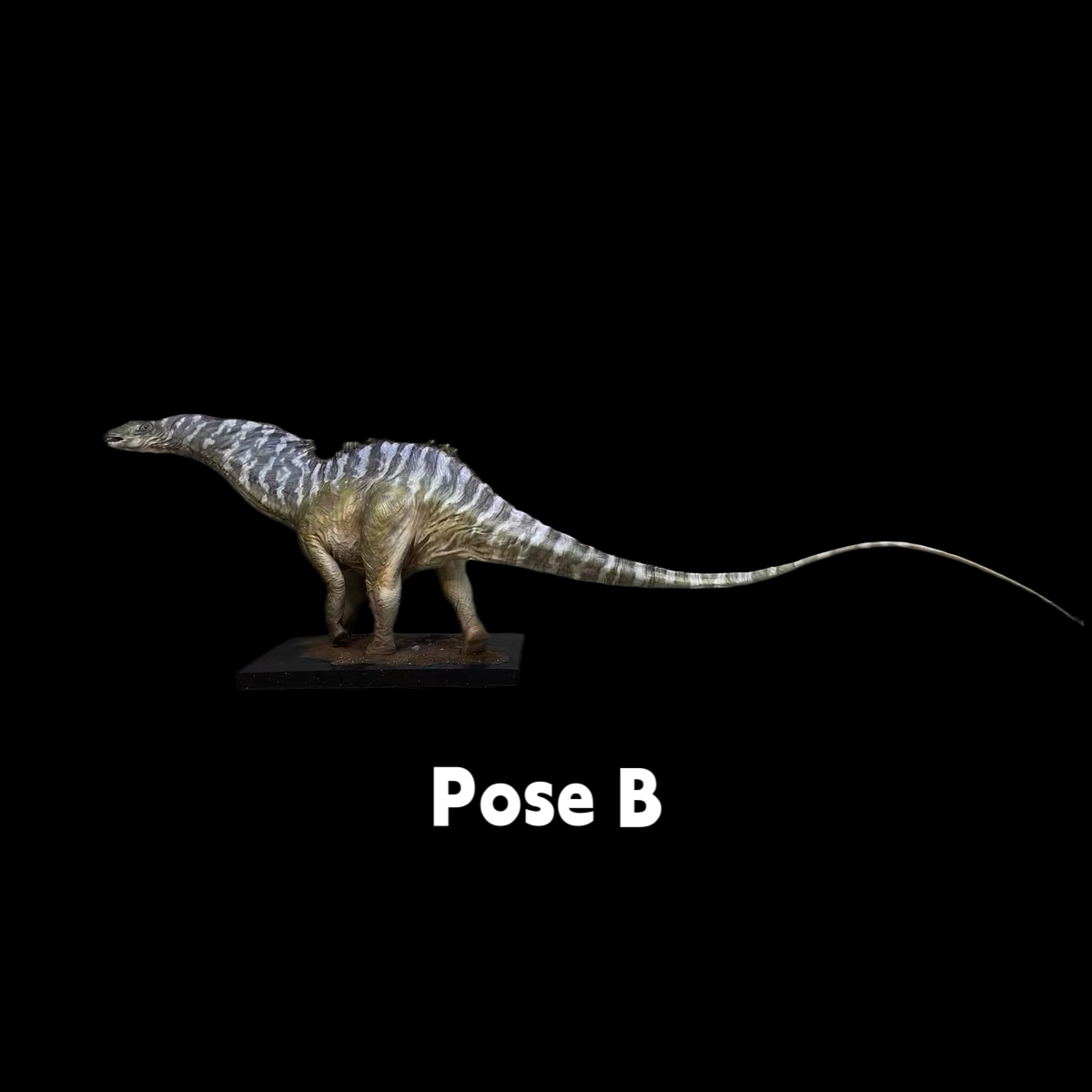 AMARGASAURUS MUSEUM statue Model Kit 1:15 Scale Cross Color Studio