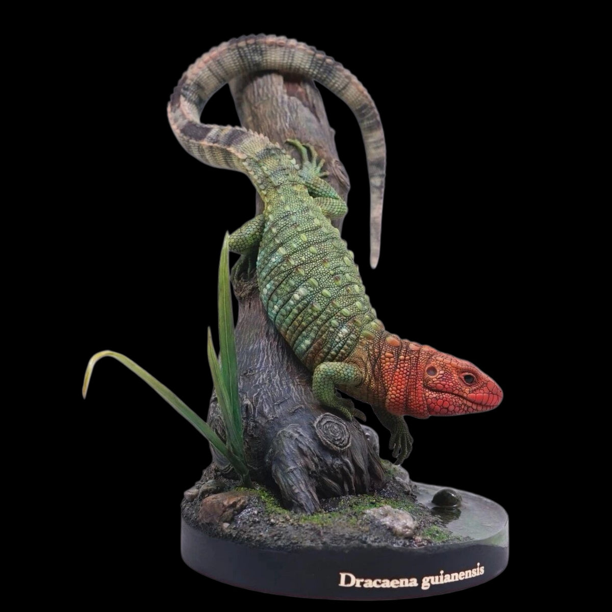 Dracaenaguianensis statue Model Kit 1:4 Scale