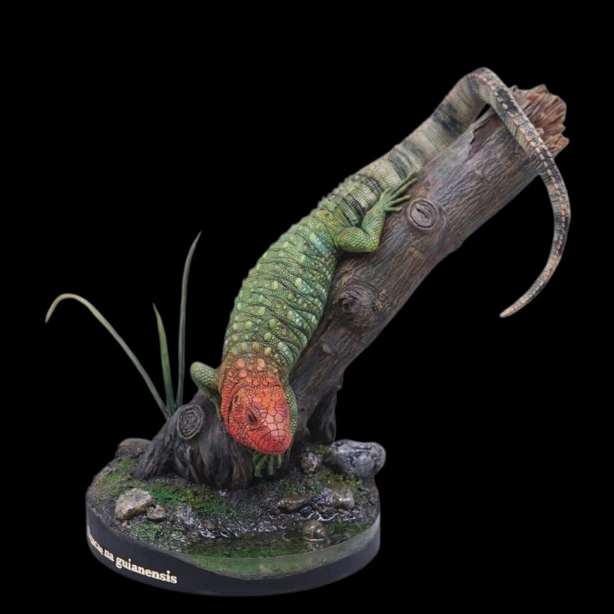 Dracaenaguianensis statue Model Kit 1:4 Scale