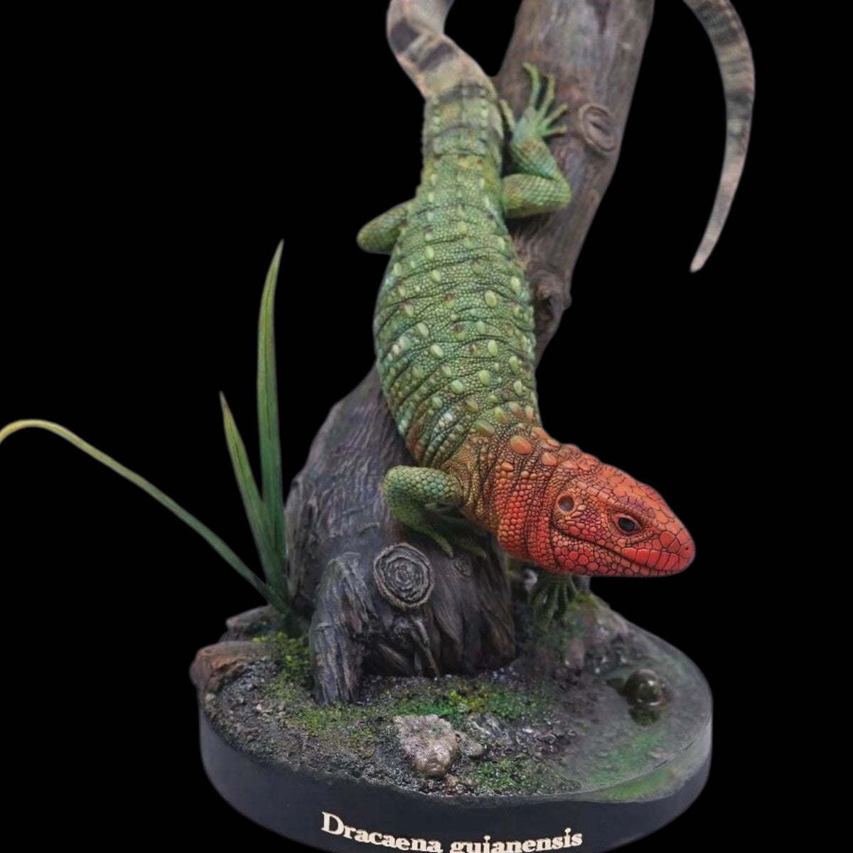 Dracaenaguianensis statue Model Kit 1:4 Scale